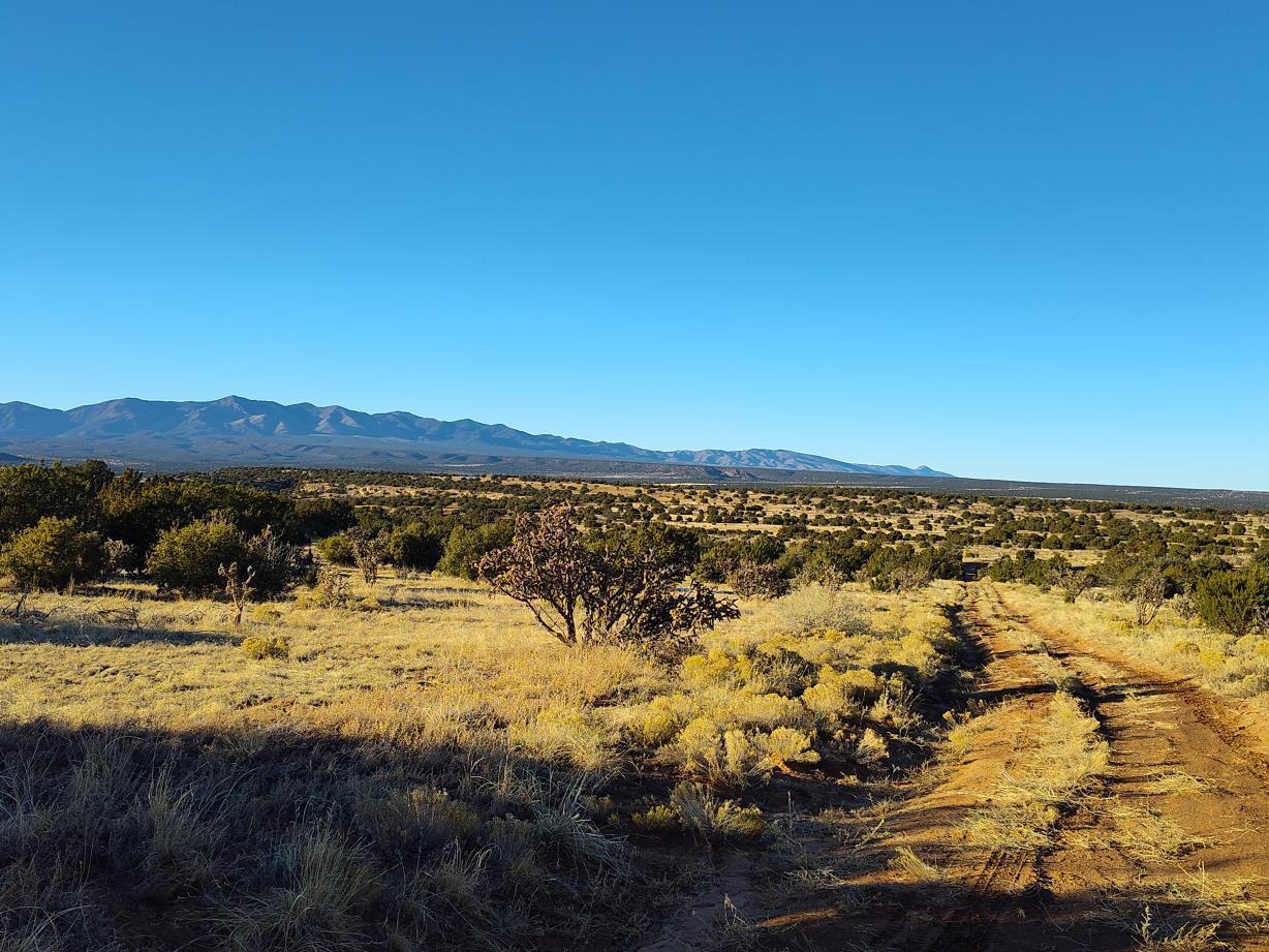 Ravine Lane, Mountainair, New Mexico image 12