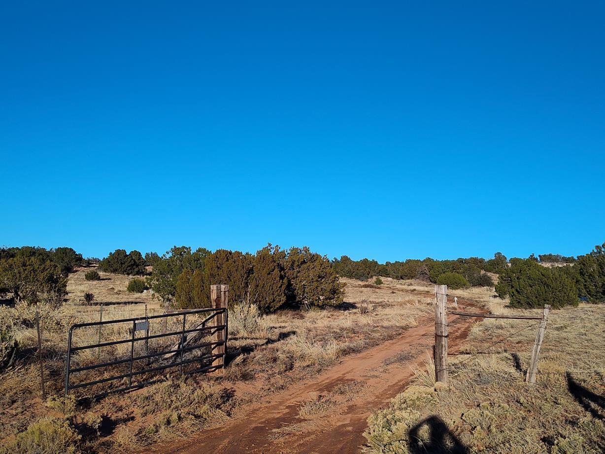 Ravine Lane, Mountainair, New Mexico image 3