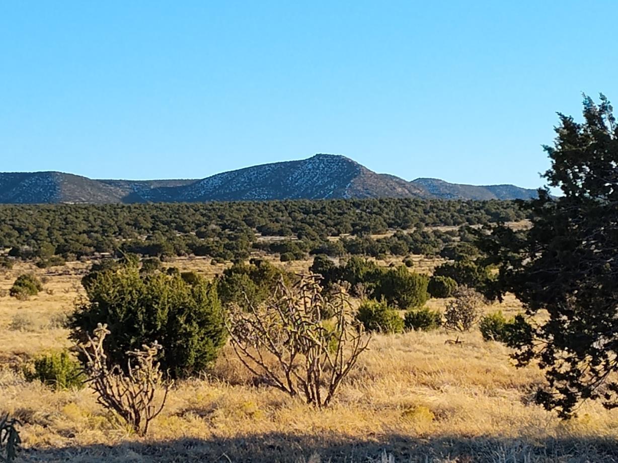 Ravine Lane, Mountainair, New Mexico image 19