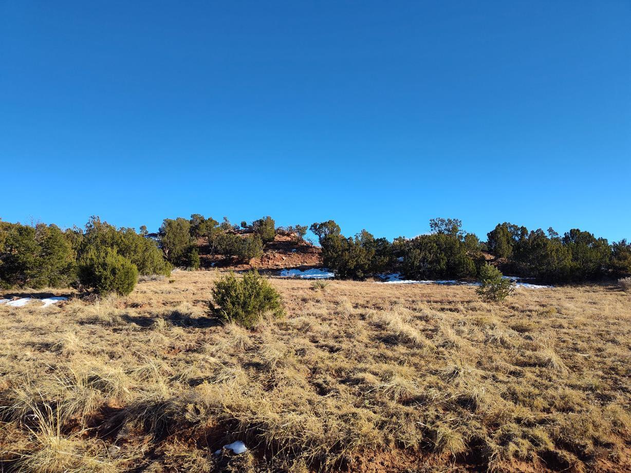 Ravine Lane, Mountainair, New Mexico image 6