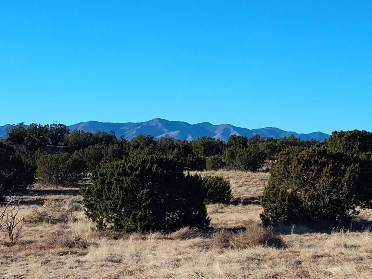 Ravine Lane, Mountainair, New Mexico image 8