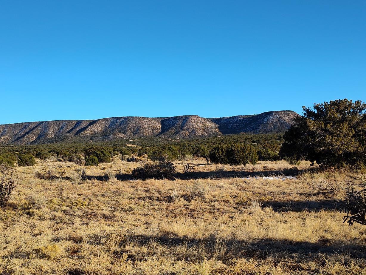 Ravine Lane, Mountainair, New Mexico image 2