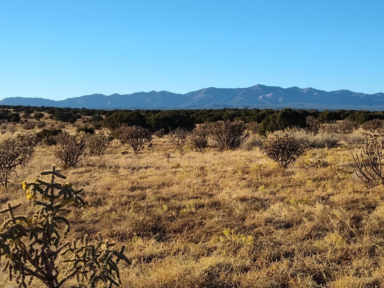 Ravine Lane, Mountainair, New Mexico image 21