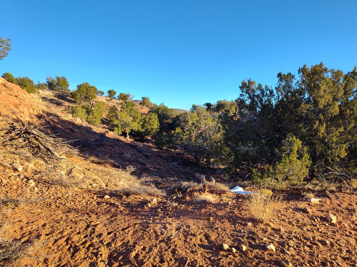 Ravine Lane, Mountainair, New Mexico image 25