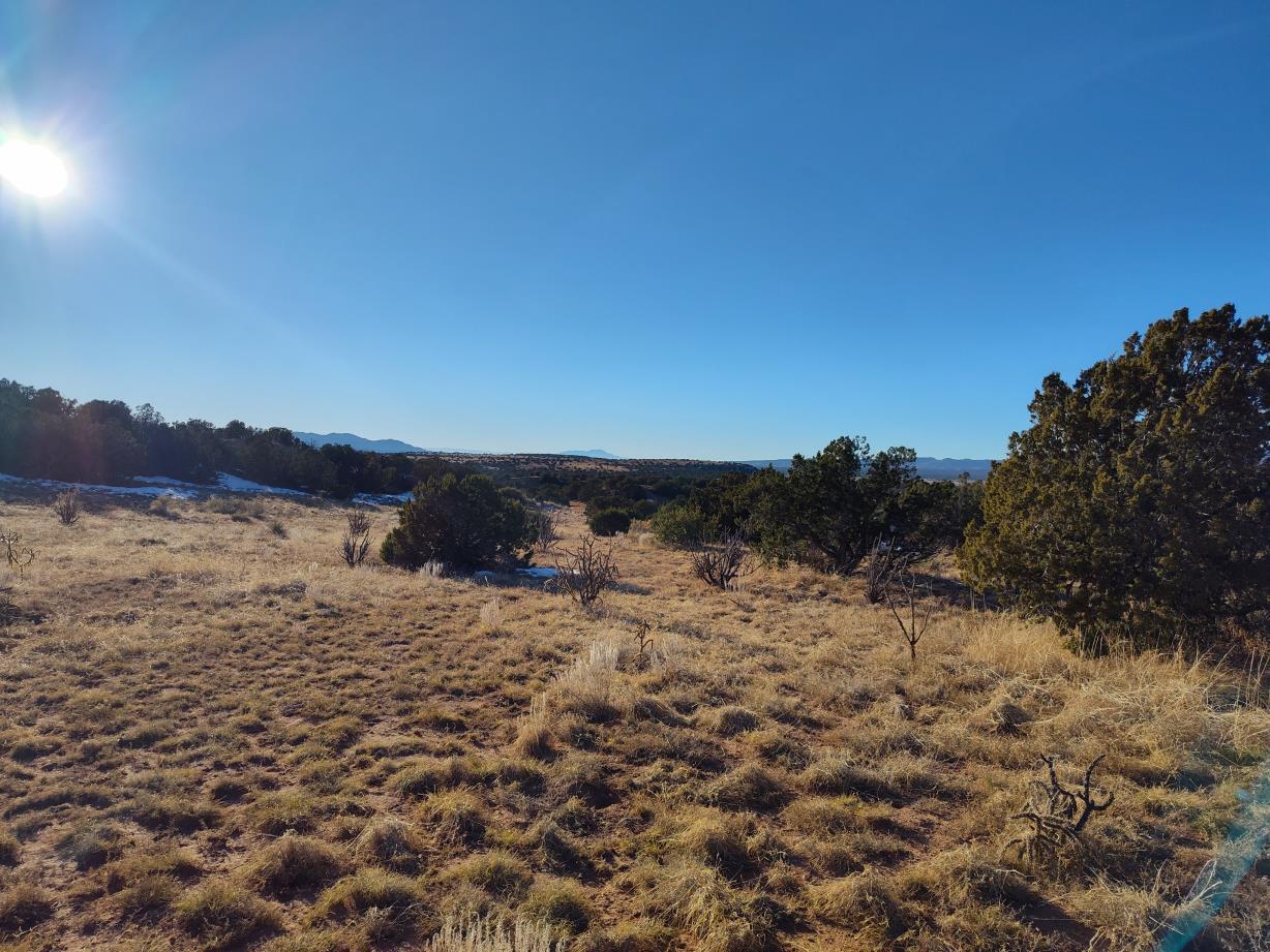 Ravine Lane, Mountainair, New Mexico image 9