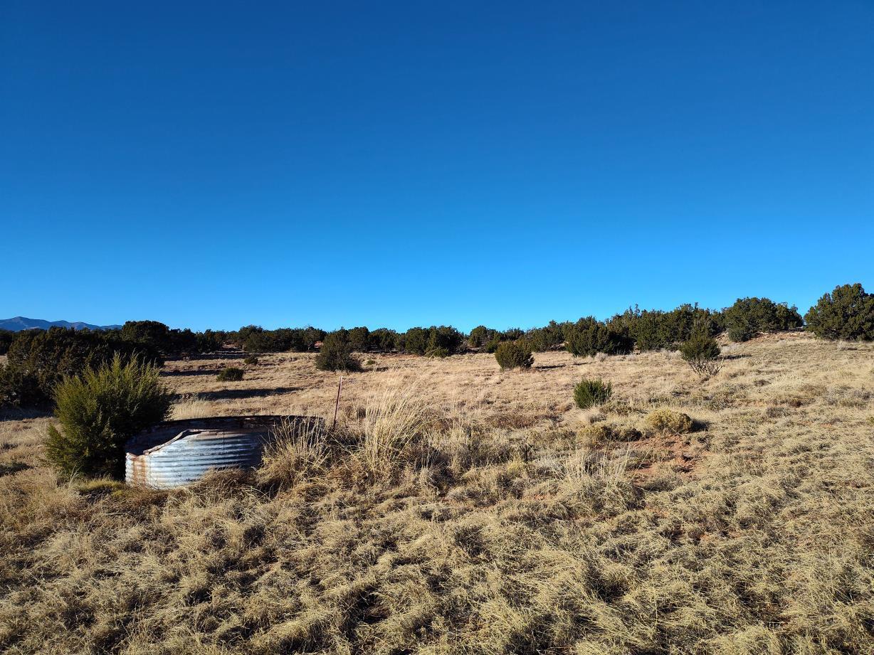 Ravine Lane, Mountainair, New Mexico image 4