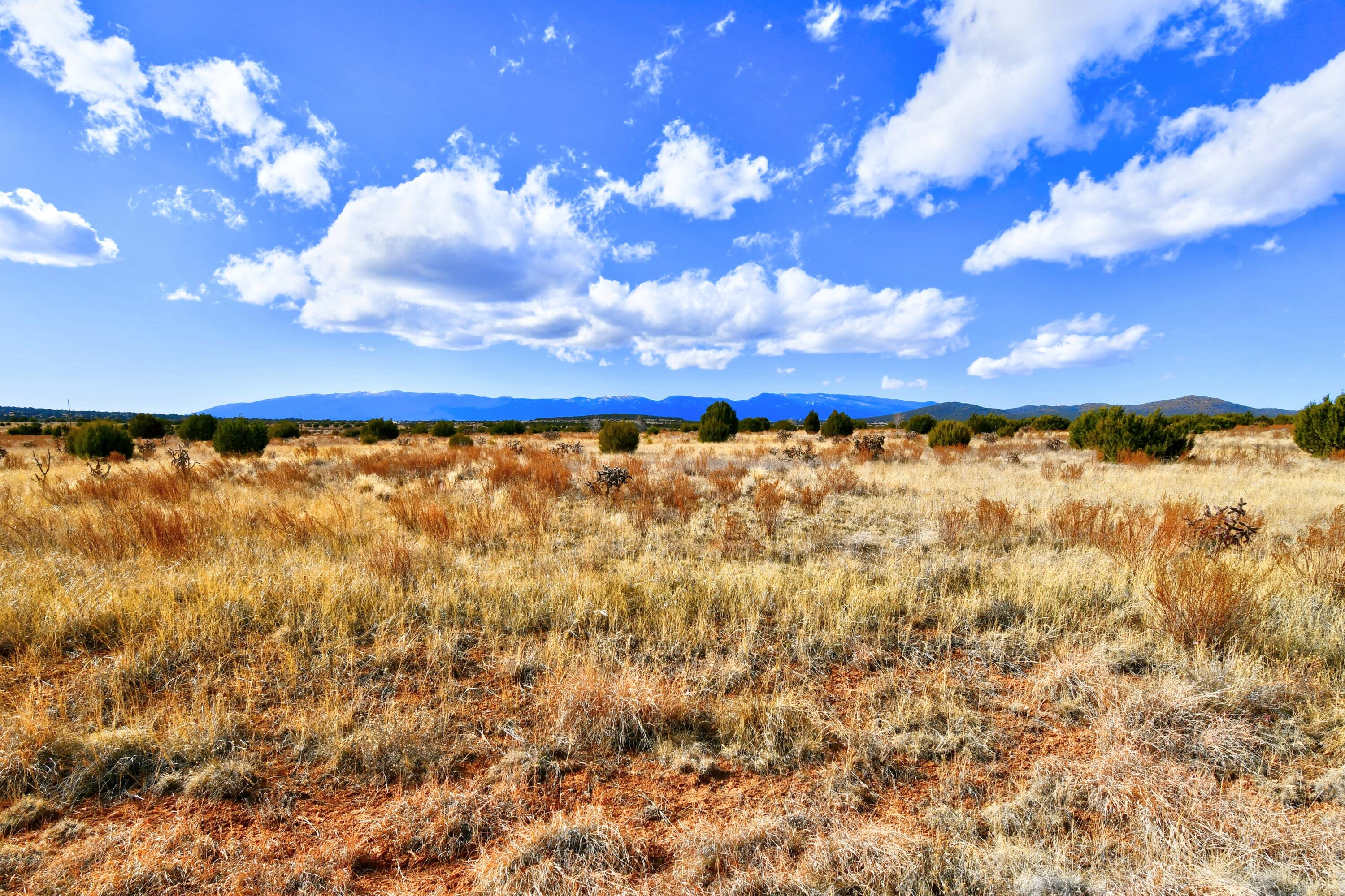 15 Entranosa Court, Edgewood, New Mexico image 4