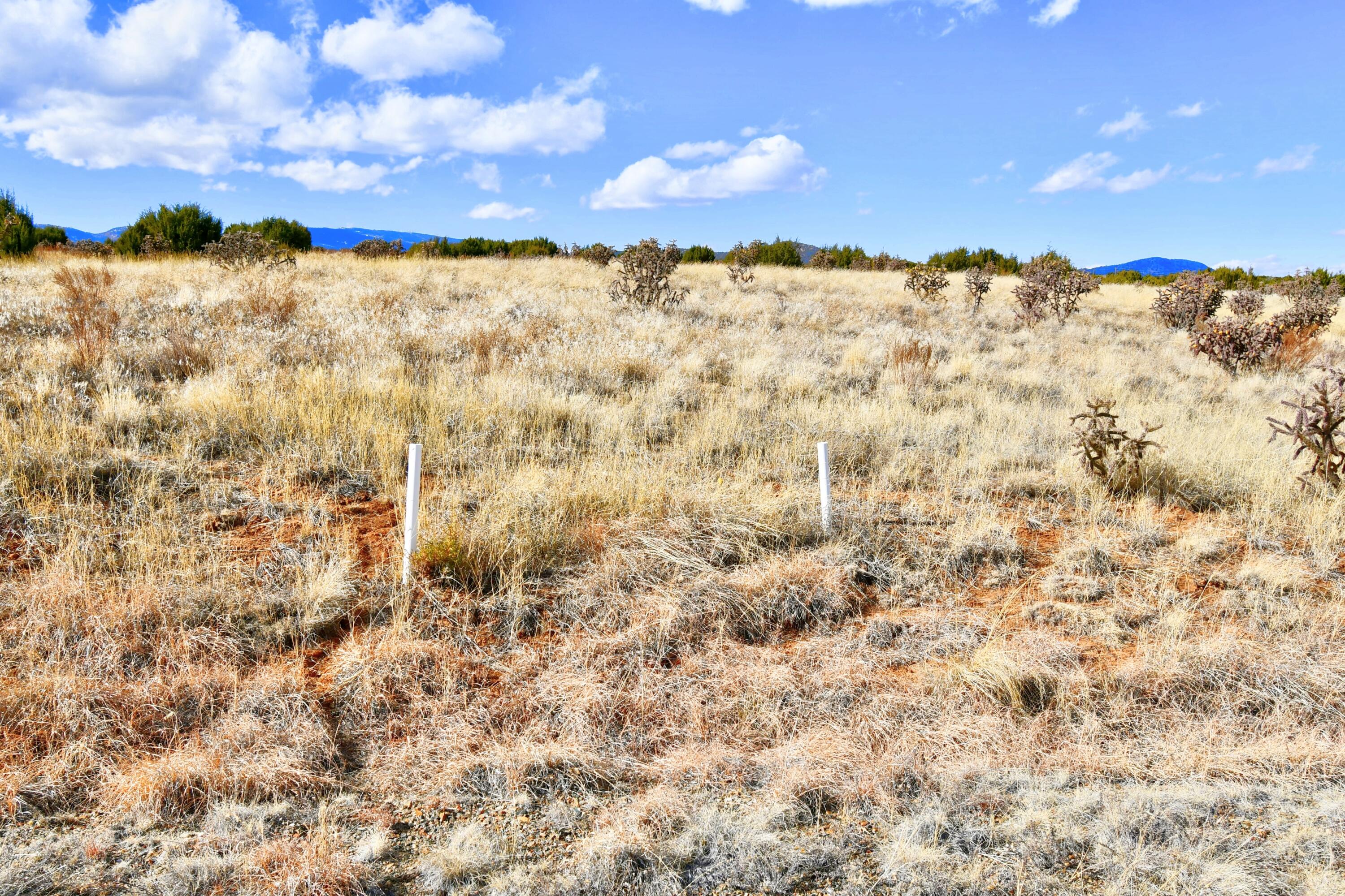 15 Entranosa Court, Edgewood, New Mexico image 9