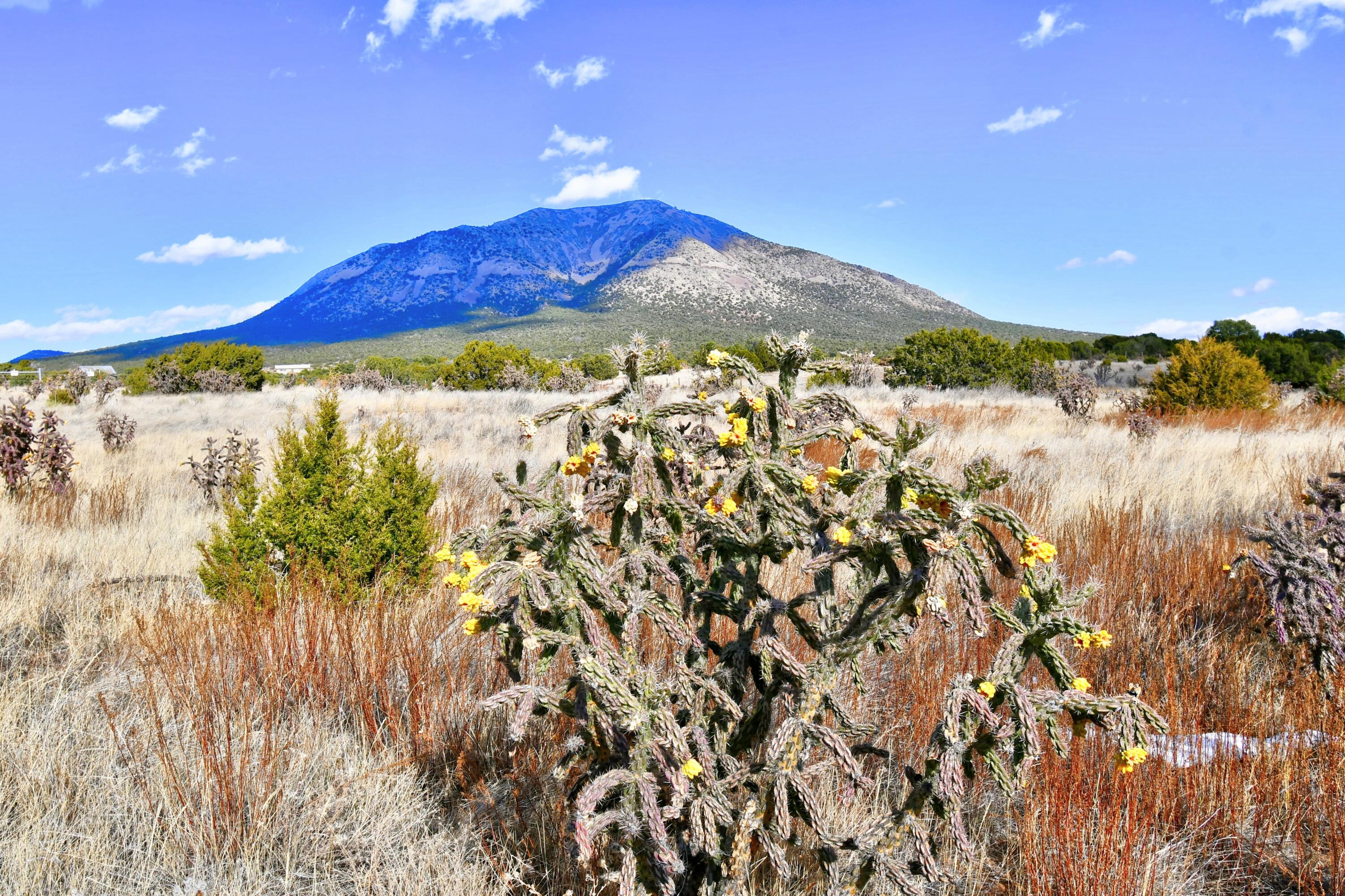 15 Entranosa Court, Edgewood, New Mexico image 13