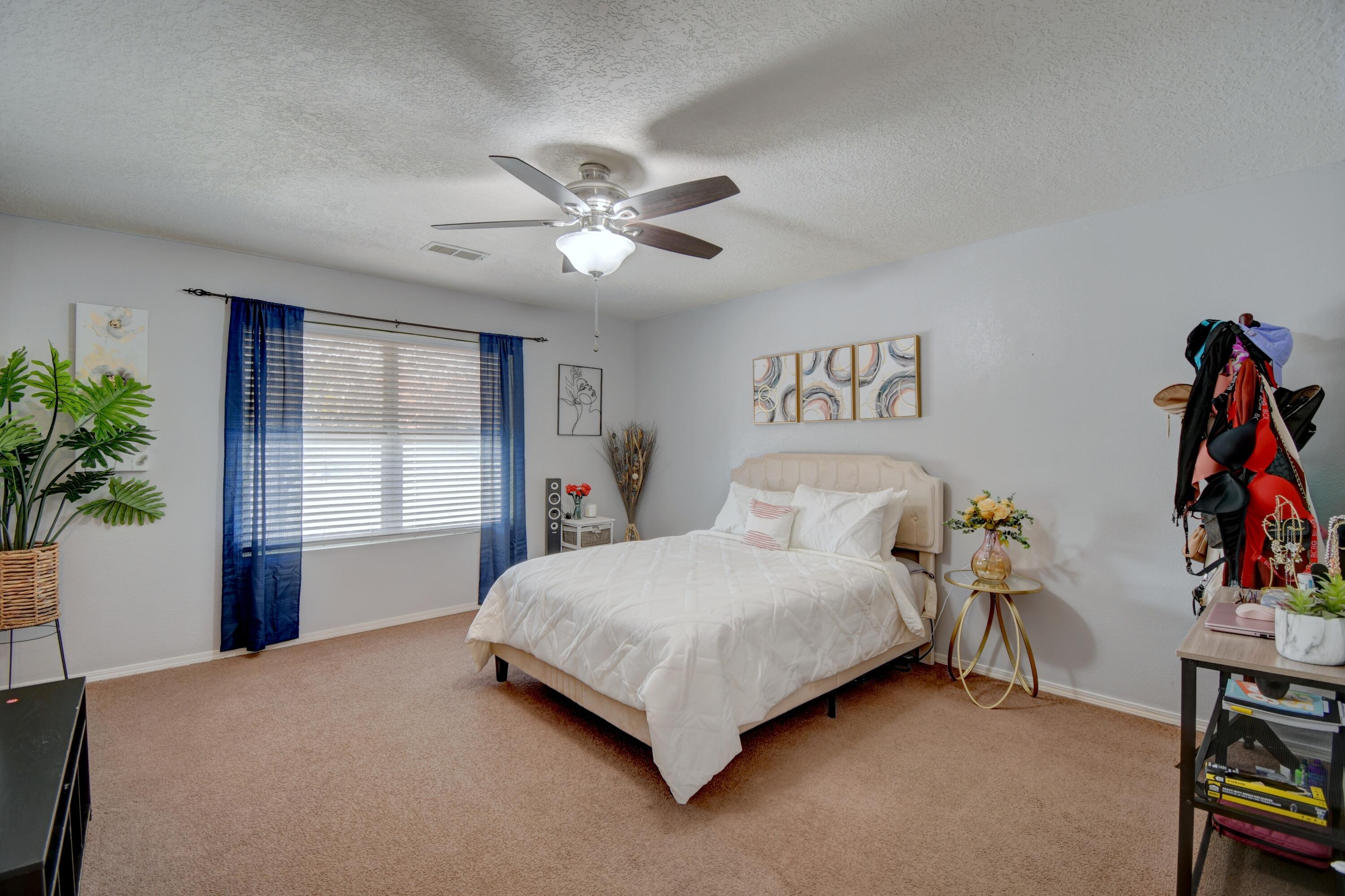 10532 Napoli Street, Albuquerque, New Mexico image 8