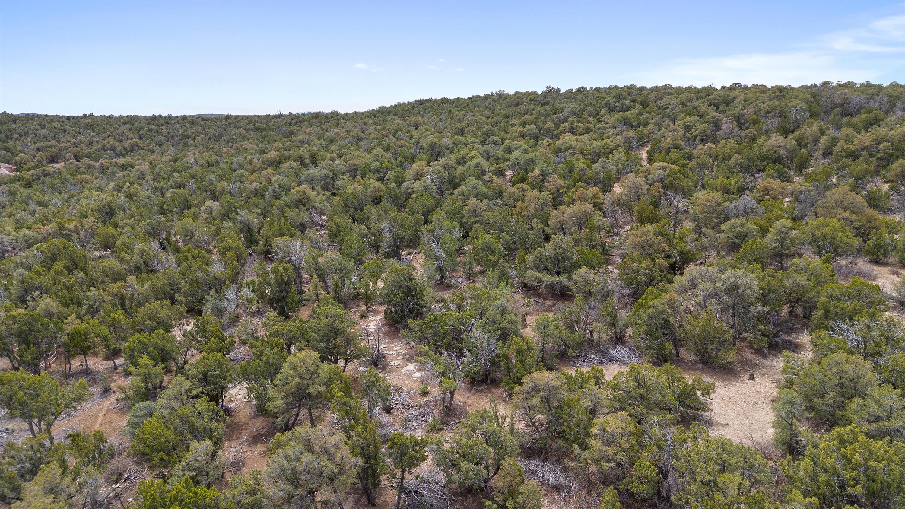 92 Bella Vista Road, Edgewood, New Mexico image 7