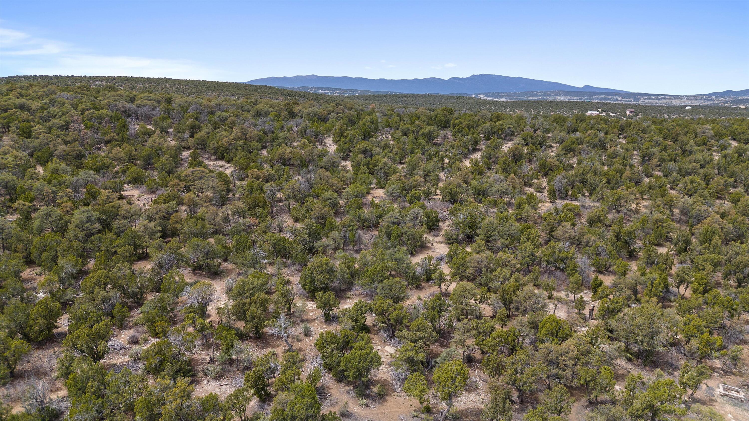 92 Bella Vista Road, Edgewood, New Mexico image 8