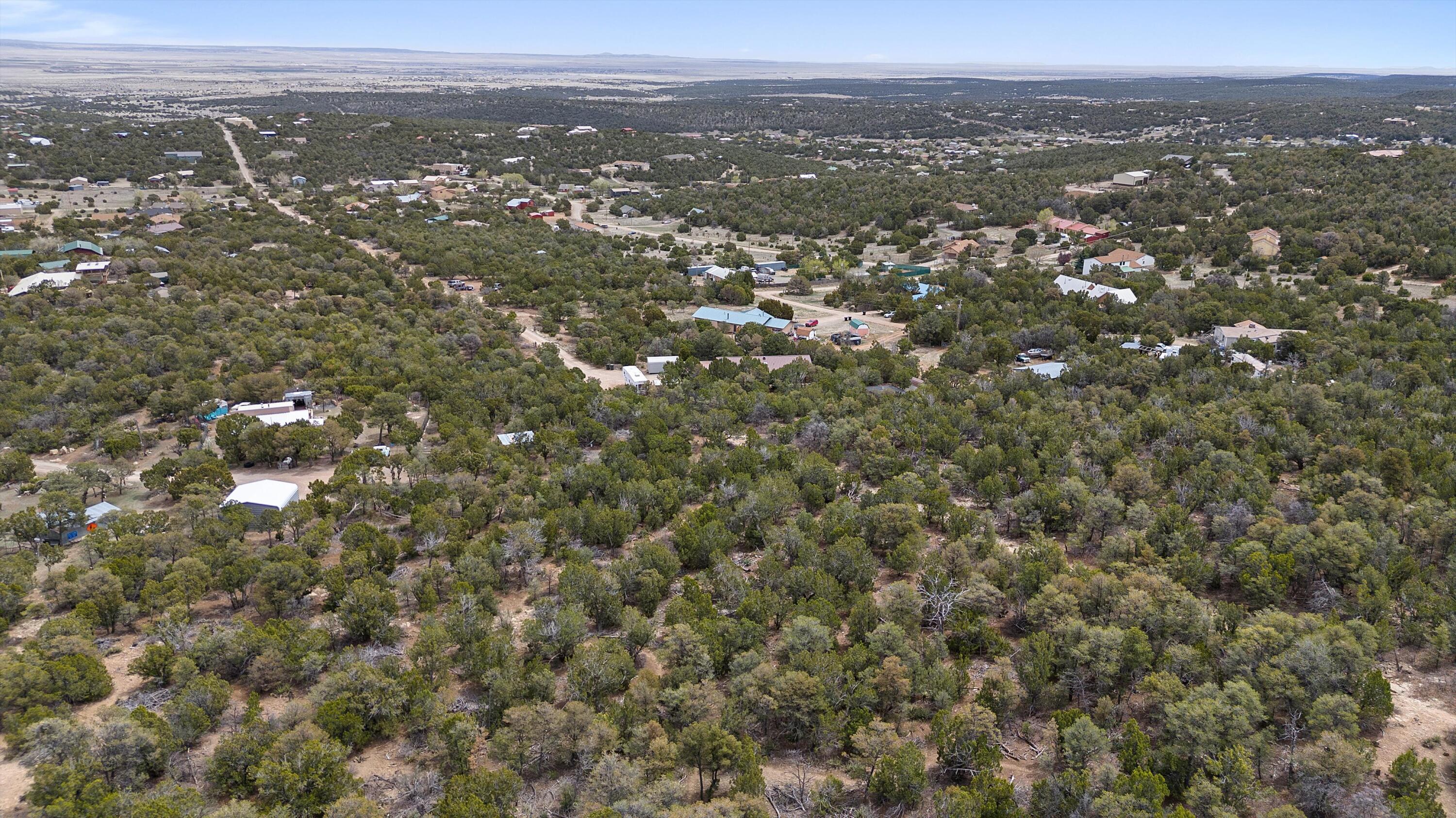 92 Bella Vista Road, Edgewood, New Mexico image 4