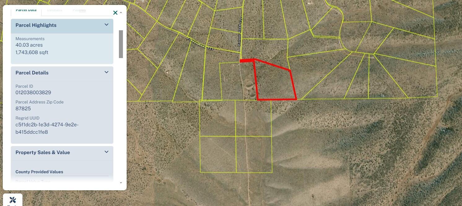 Lot 29 Forest Rd. 123, Magdalena, New Mexico image 1