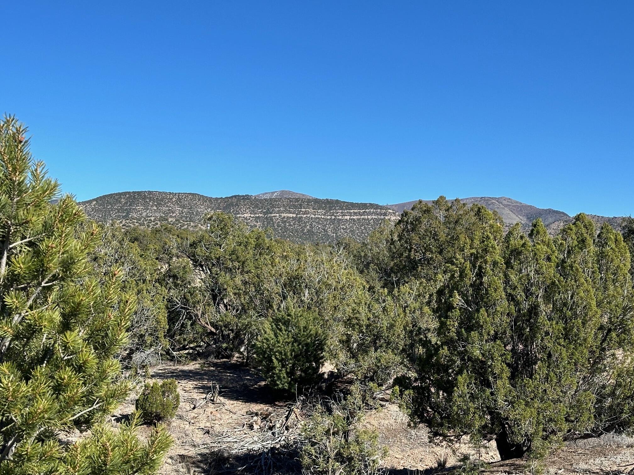 45 Stagecoach Trail, Sandia Park, New Mexico image 8