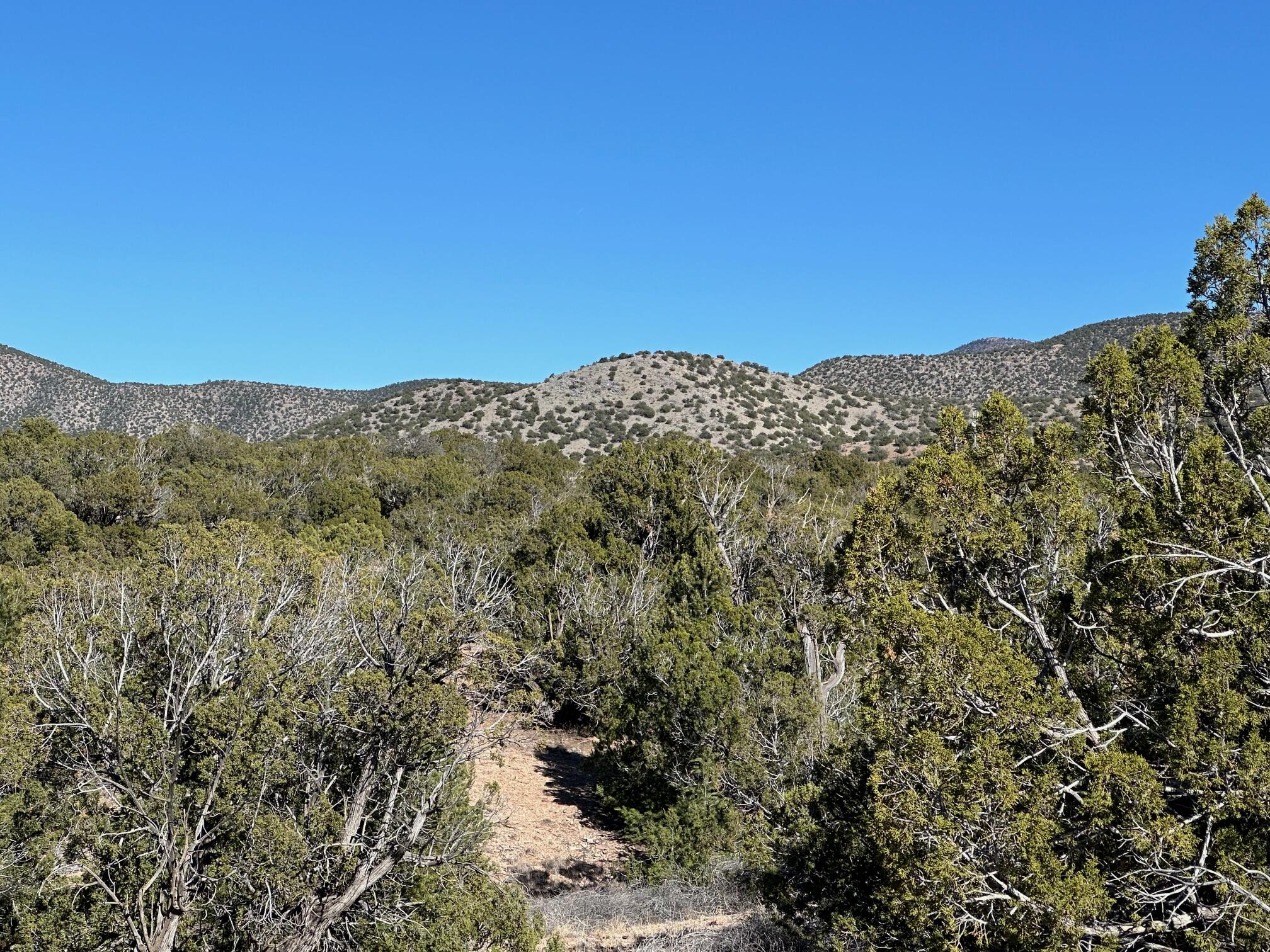 45 Stagecoach Trail, Sandia Park, New Mexico image 17