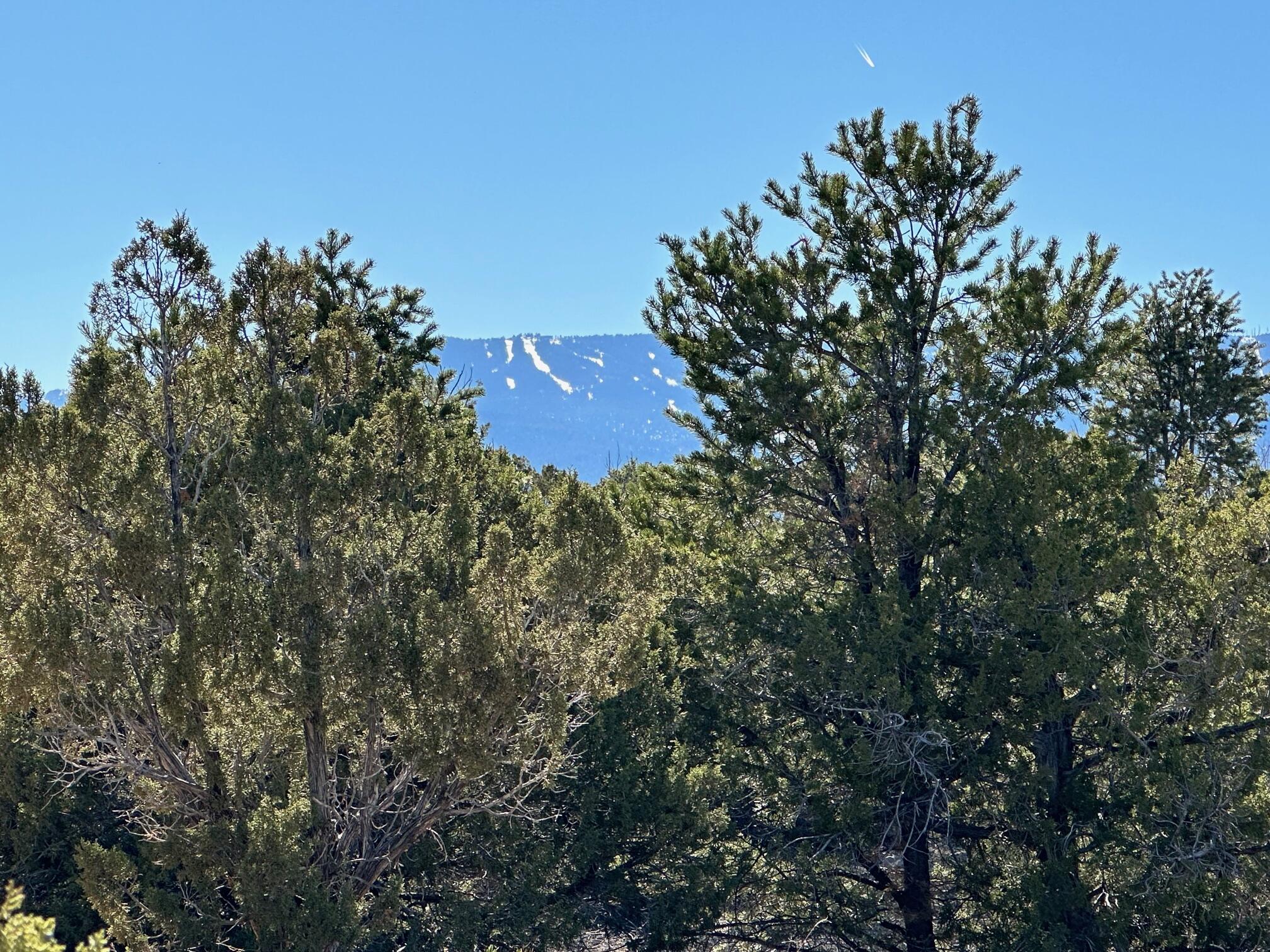 45 Stagecoach Trail, Sandia Park, New Mexico image 9