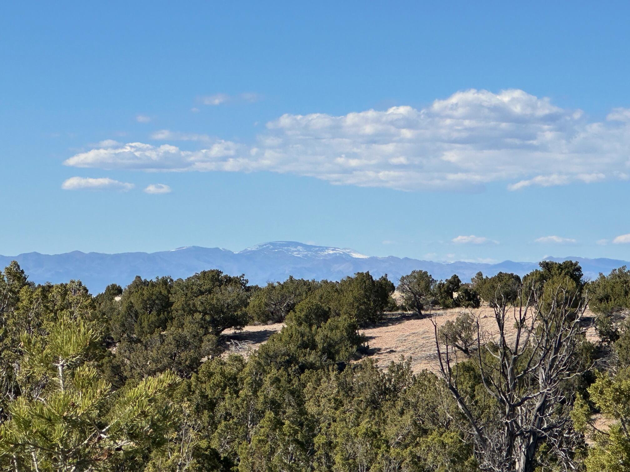 45 Stagecoach Trail, Sandia Park, New Mexico image 12