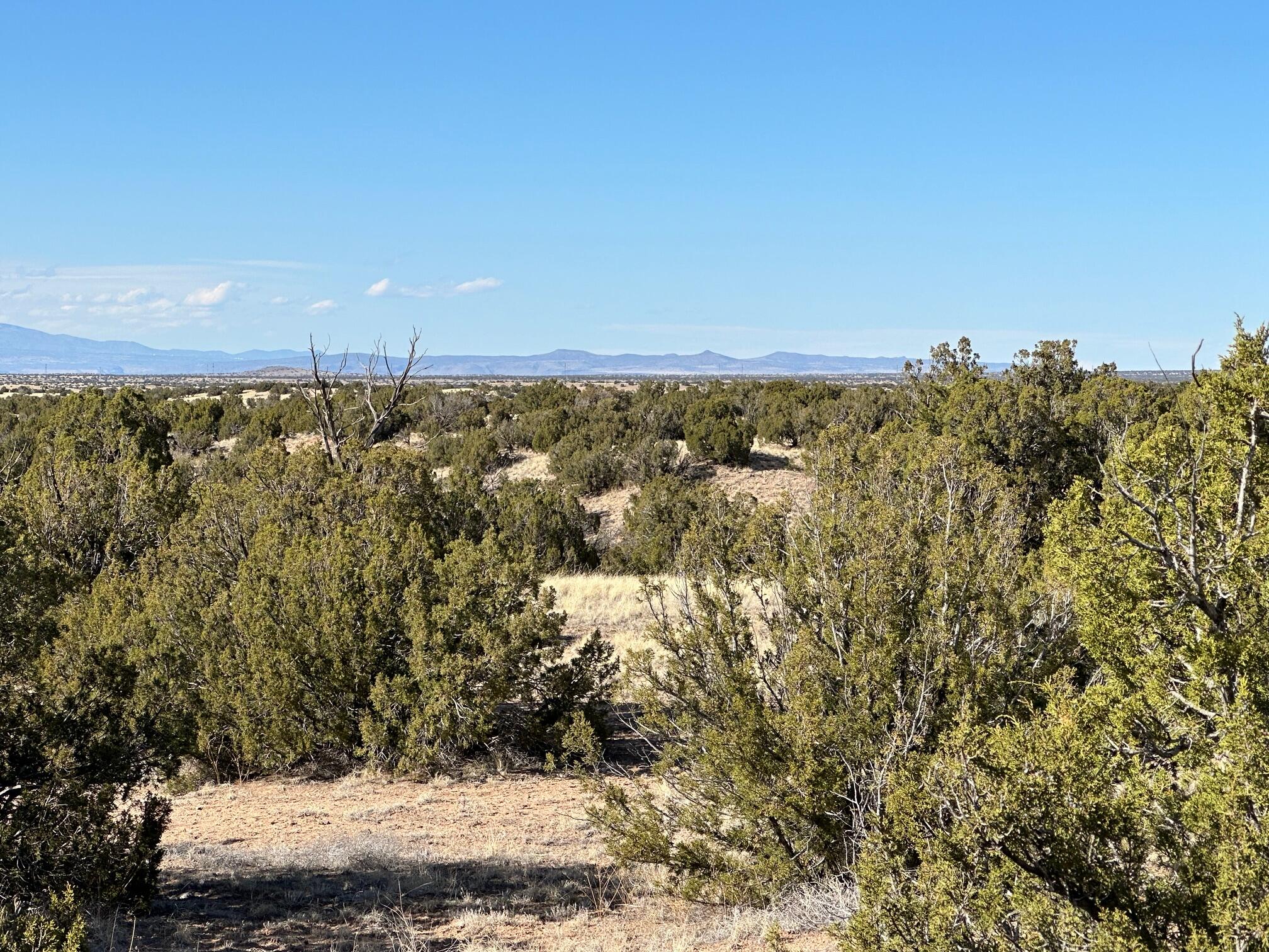 45 Stagecoach Trail, Sandia Park, New Mexico image 19