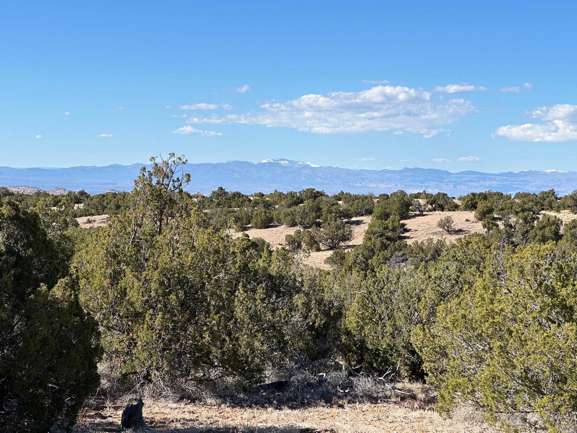 45 Stagecoach Trail, Sandia Park, New Mexico image 2