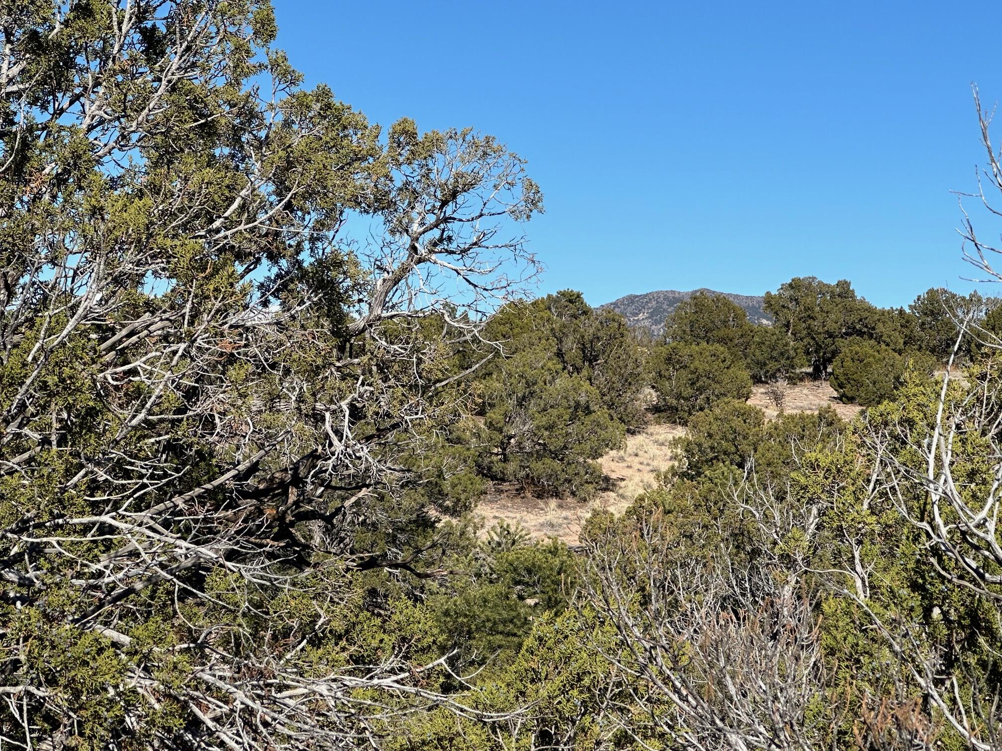 45 Stagecoach Trail, Sandia Park, New Mexico image 16