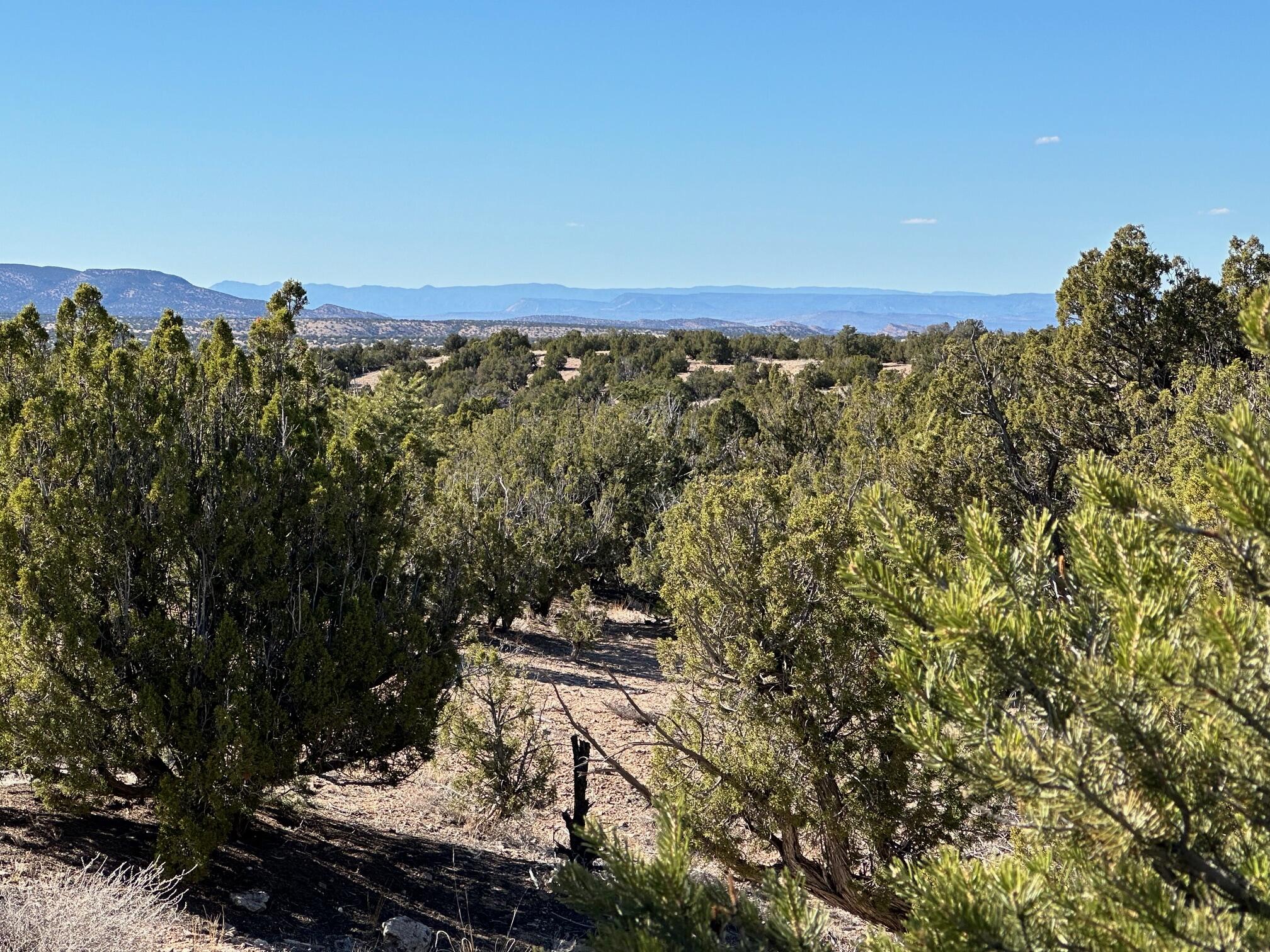 45 Stagecoach Trail, Sandia Park, New Mexico image 10