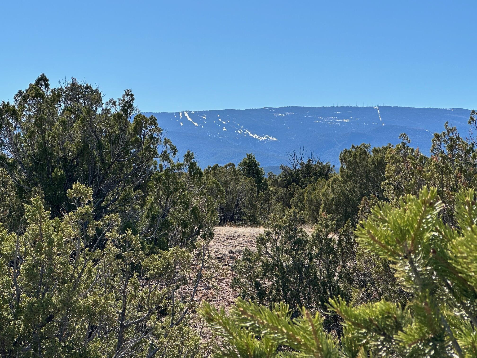 45 Stagecoach Trail, Sandia Park, New Mexico image 4