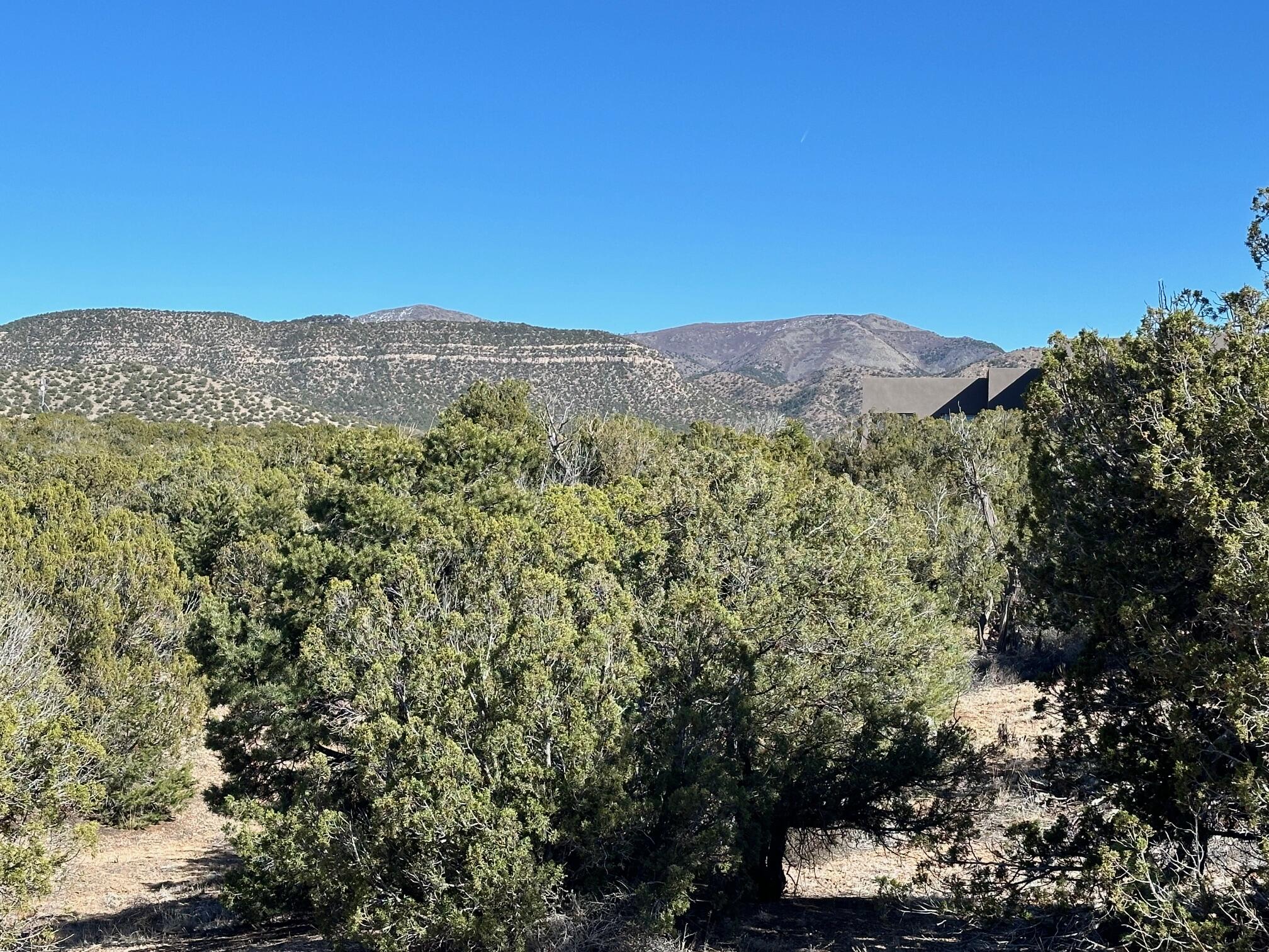 45 Stagecoach Trail, Sandia Park, New Mexico image 5