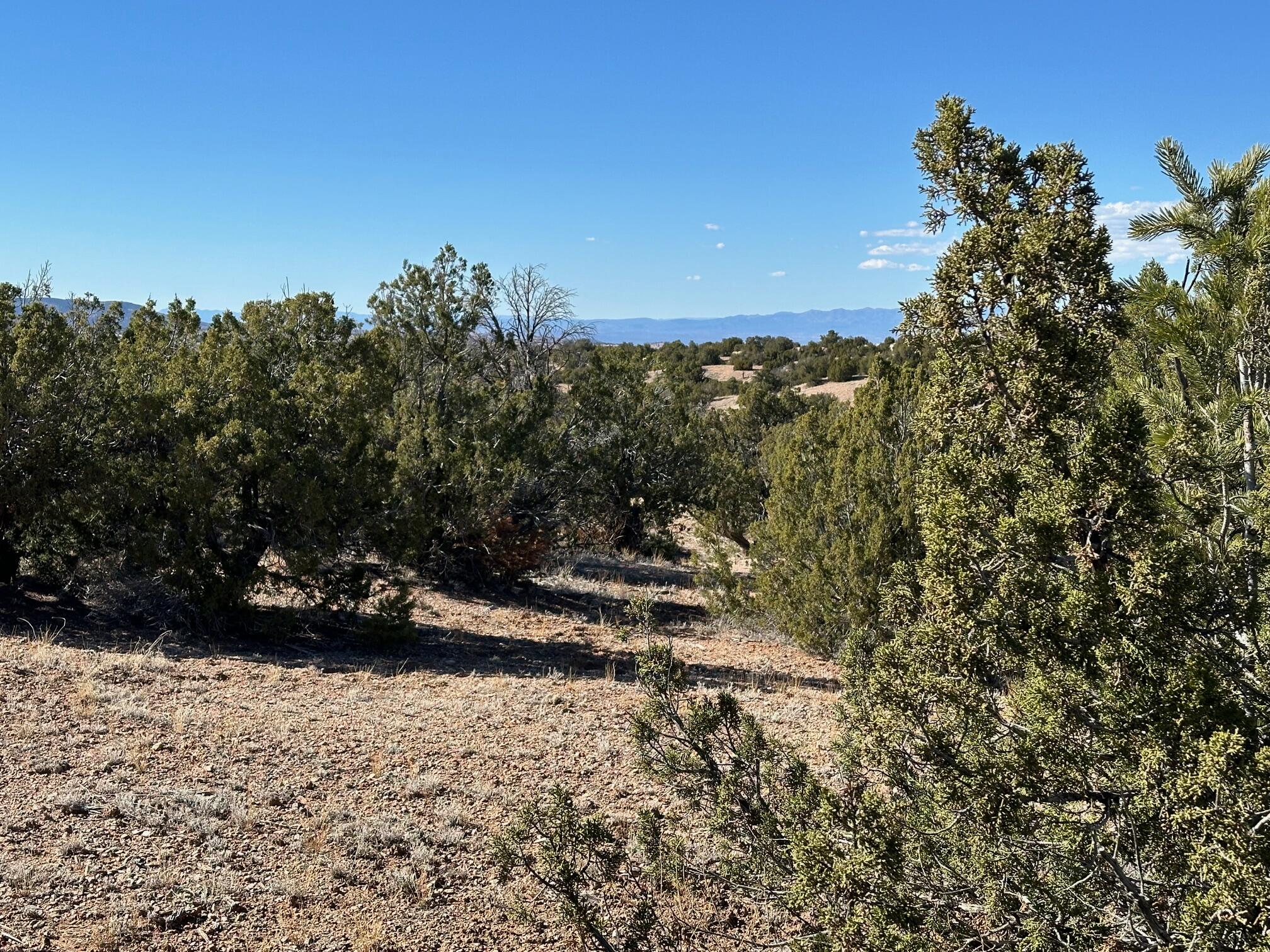 45 Stagecoach Trail, Sandia Park, New Mexico image 6