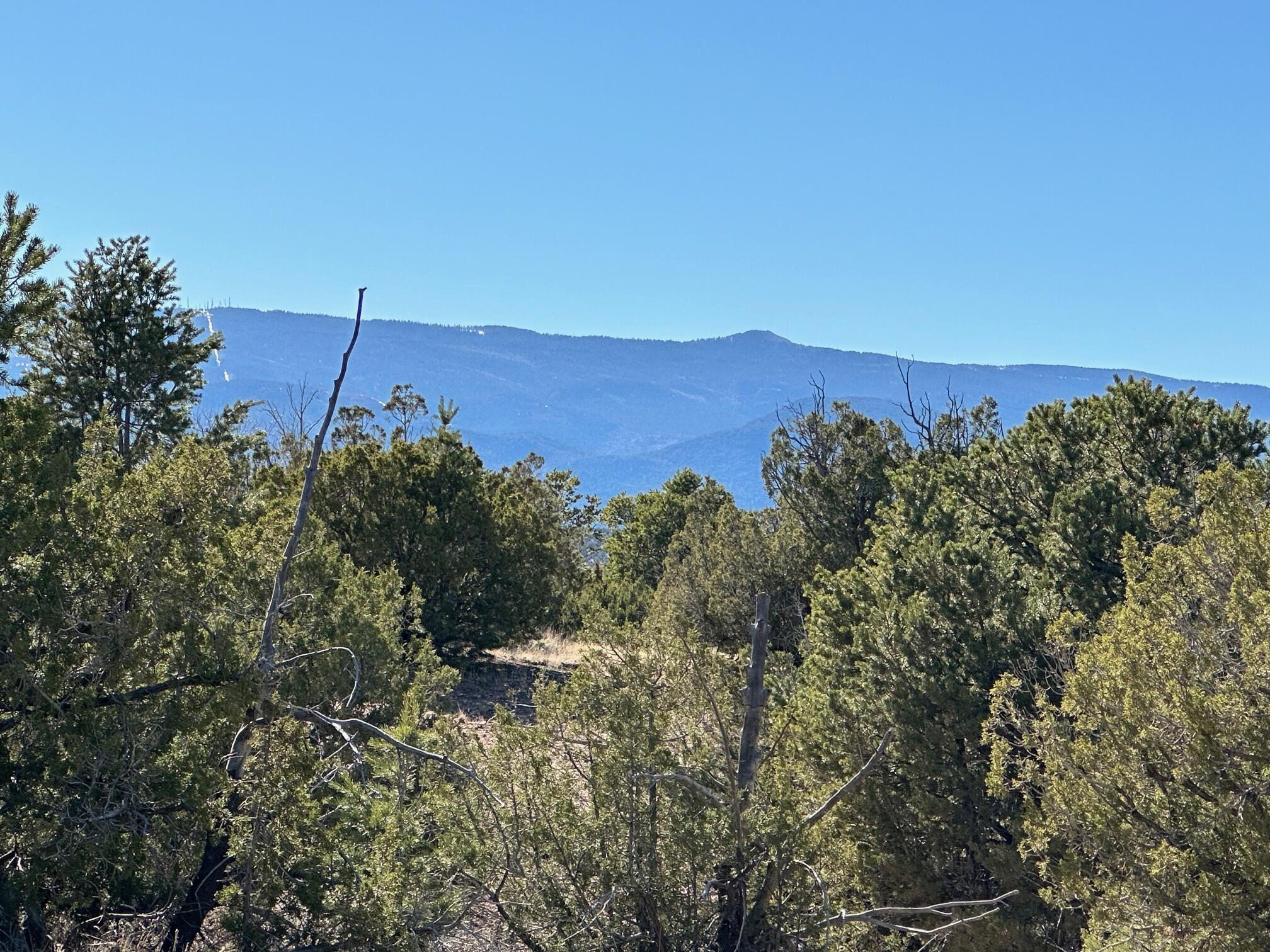 45 Stagecoach Trail, Sandia Park, New Mexico image 13