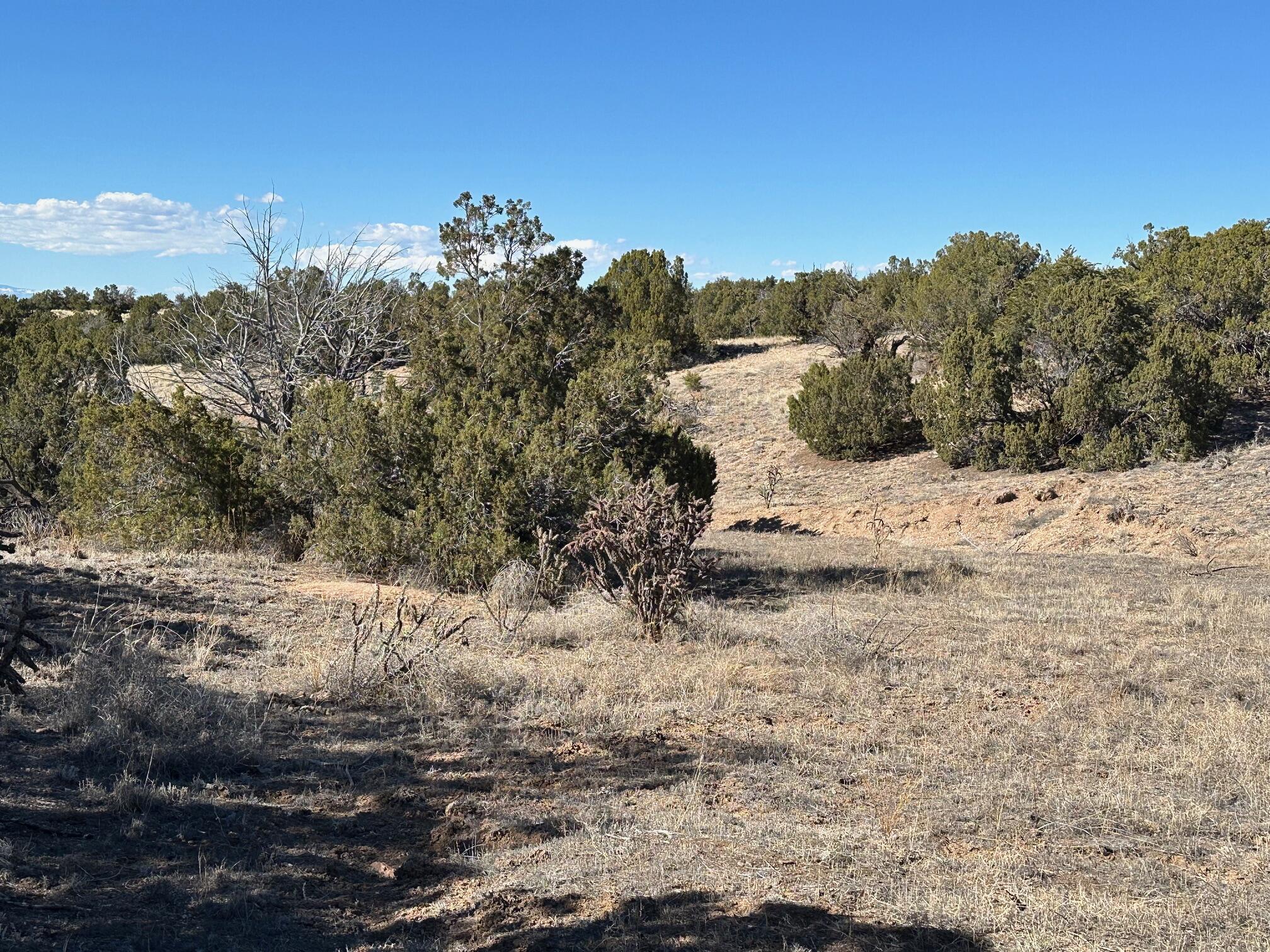 45 Stagecoach Trail, Sandia Park, New Mexico image 11