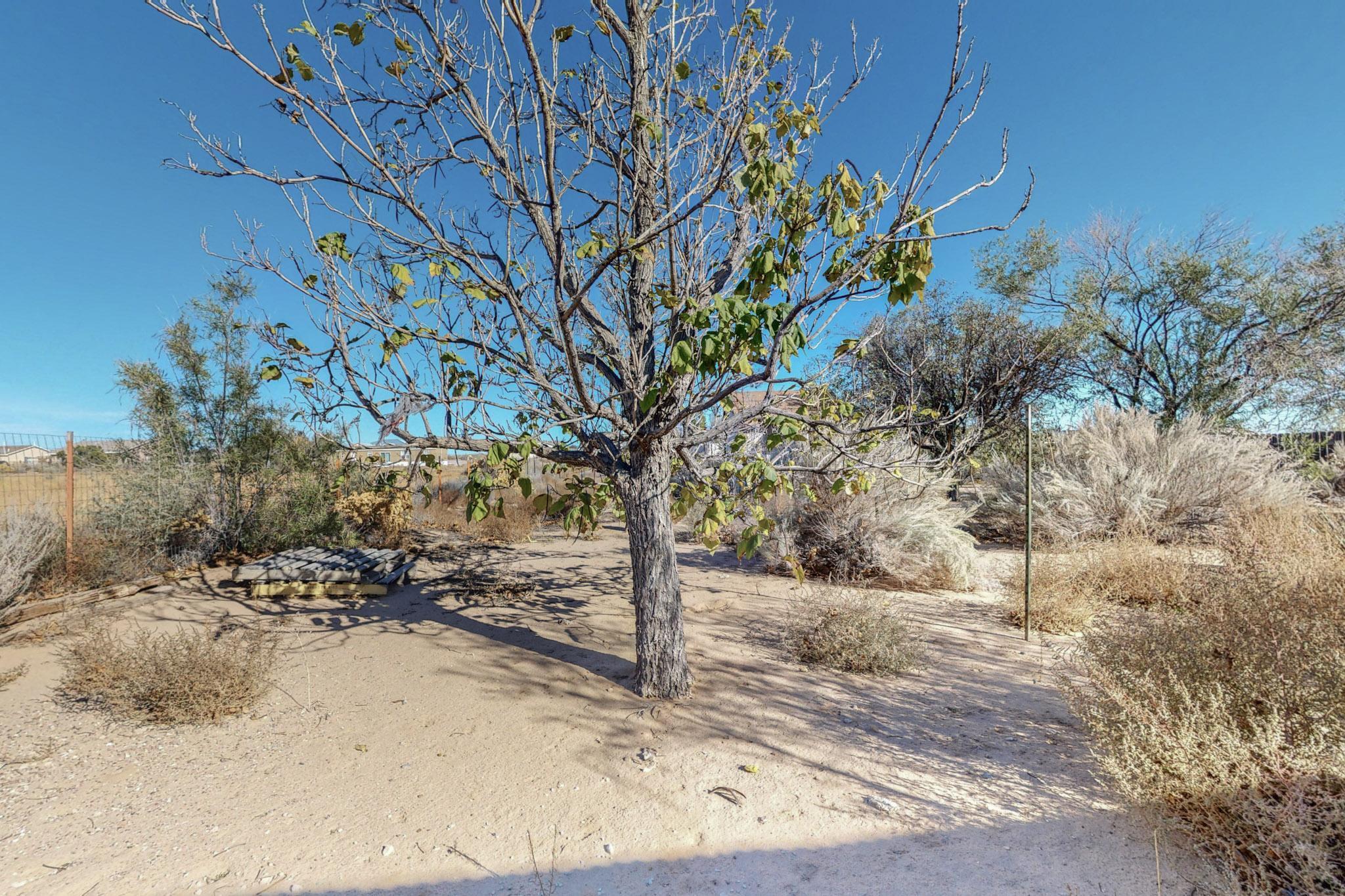 40 1st Street, Rio Rancho, New Mexico image 31