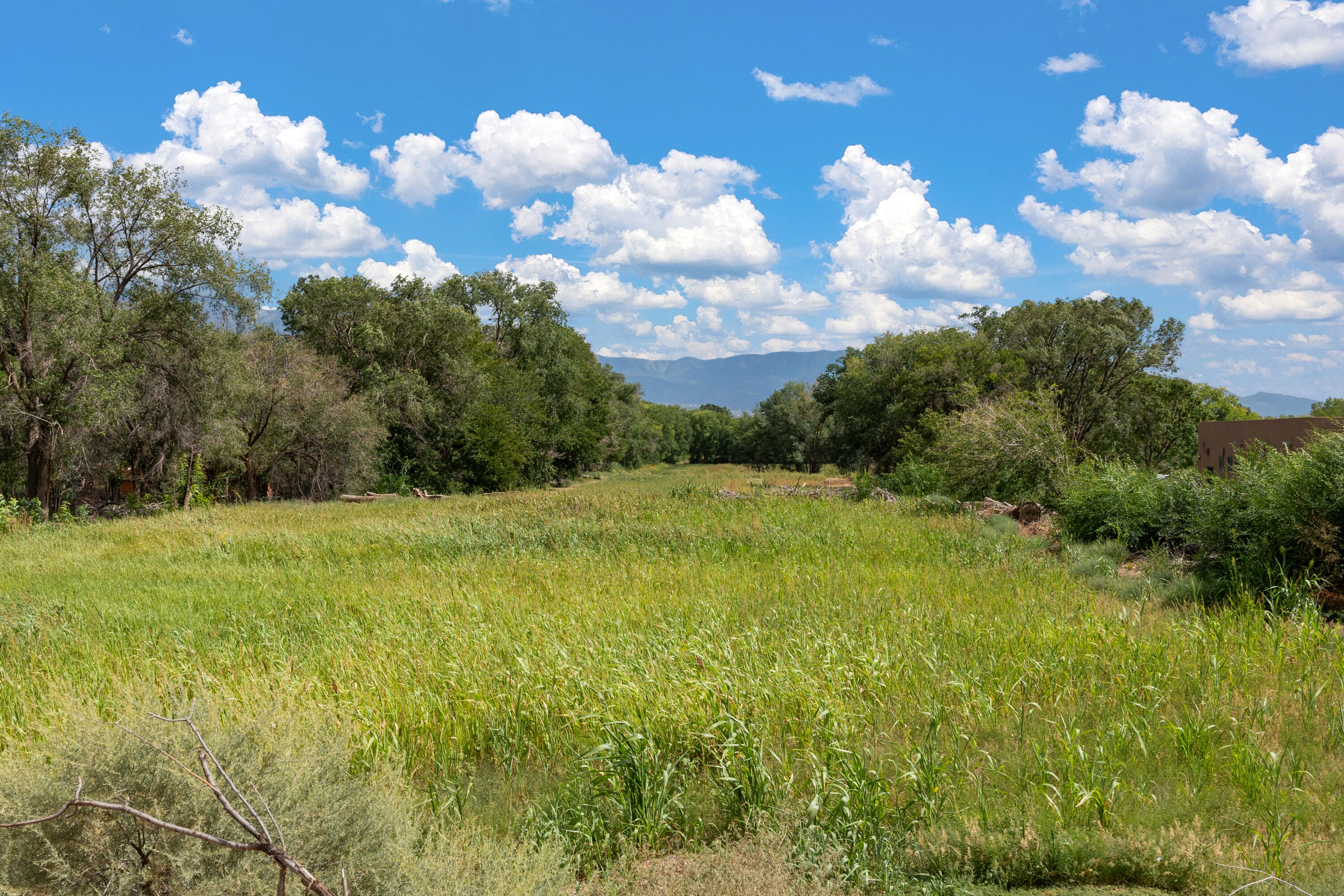 Wallace Lane, Corrales, New Mexico image 11