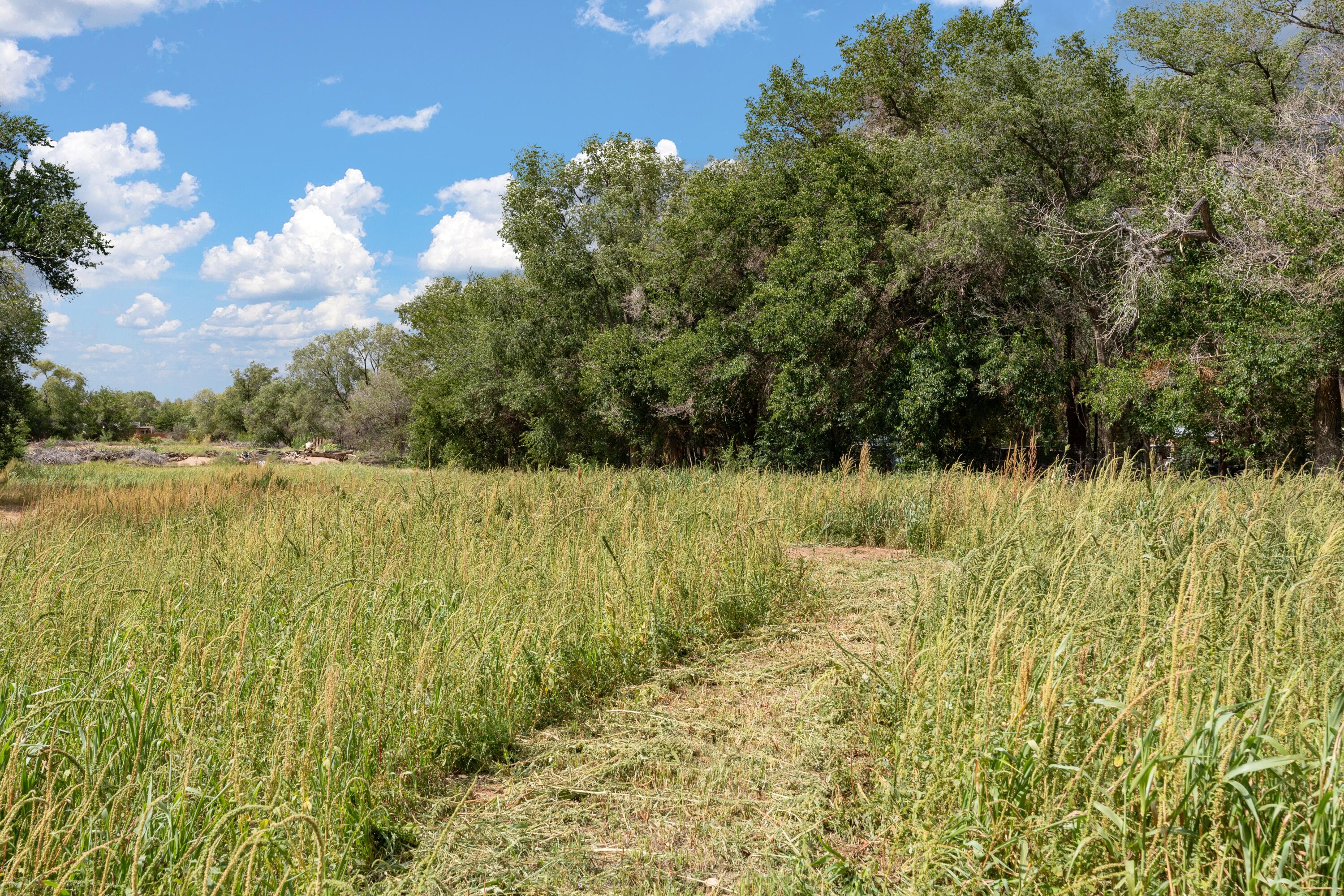 Wallace Lane, Corrales, New Mexico image 2