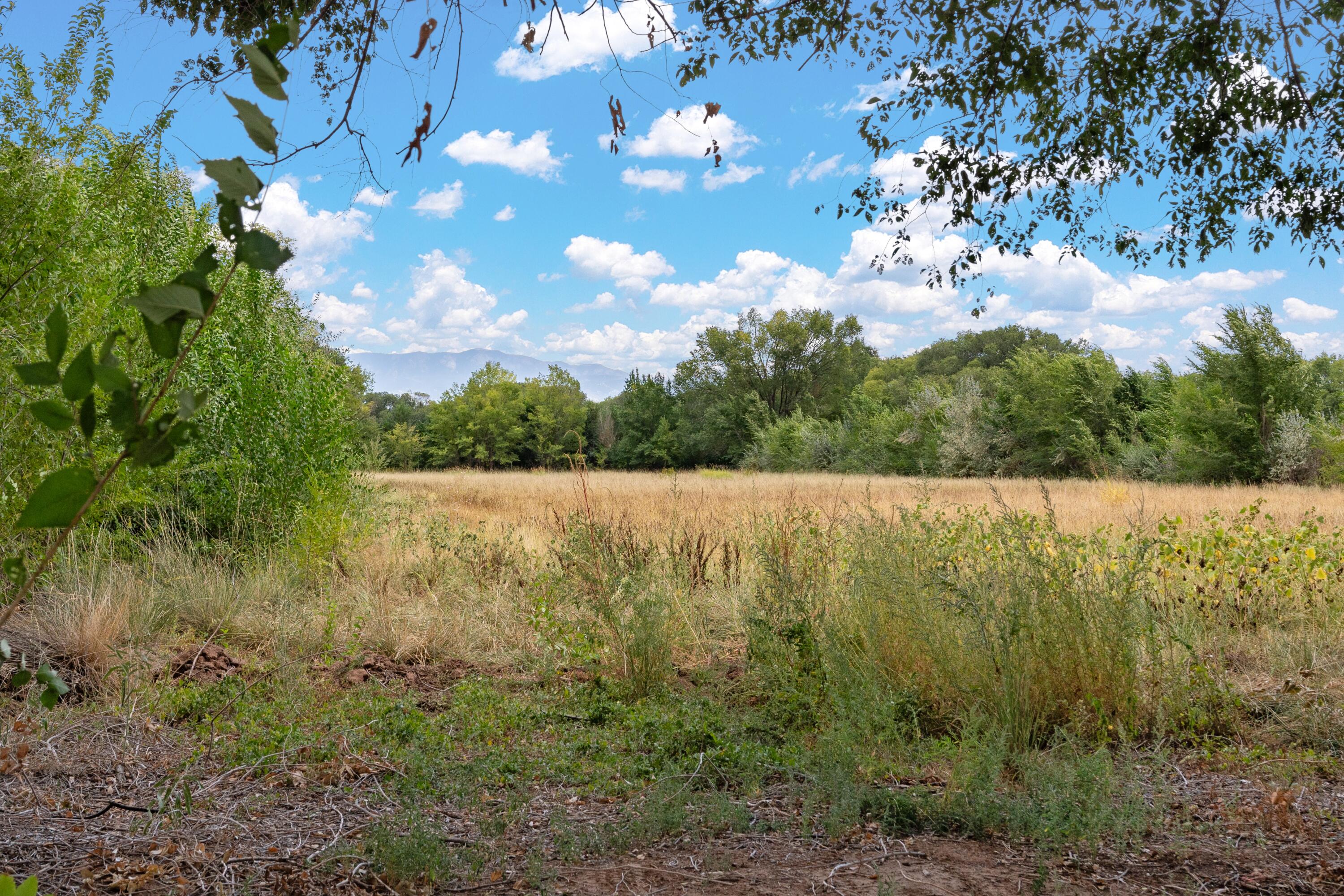 Wallace Lane, Corrales, New Mexico image 4