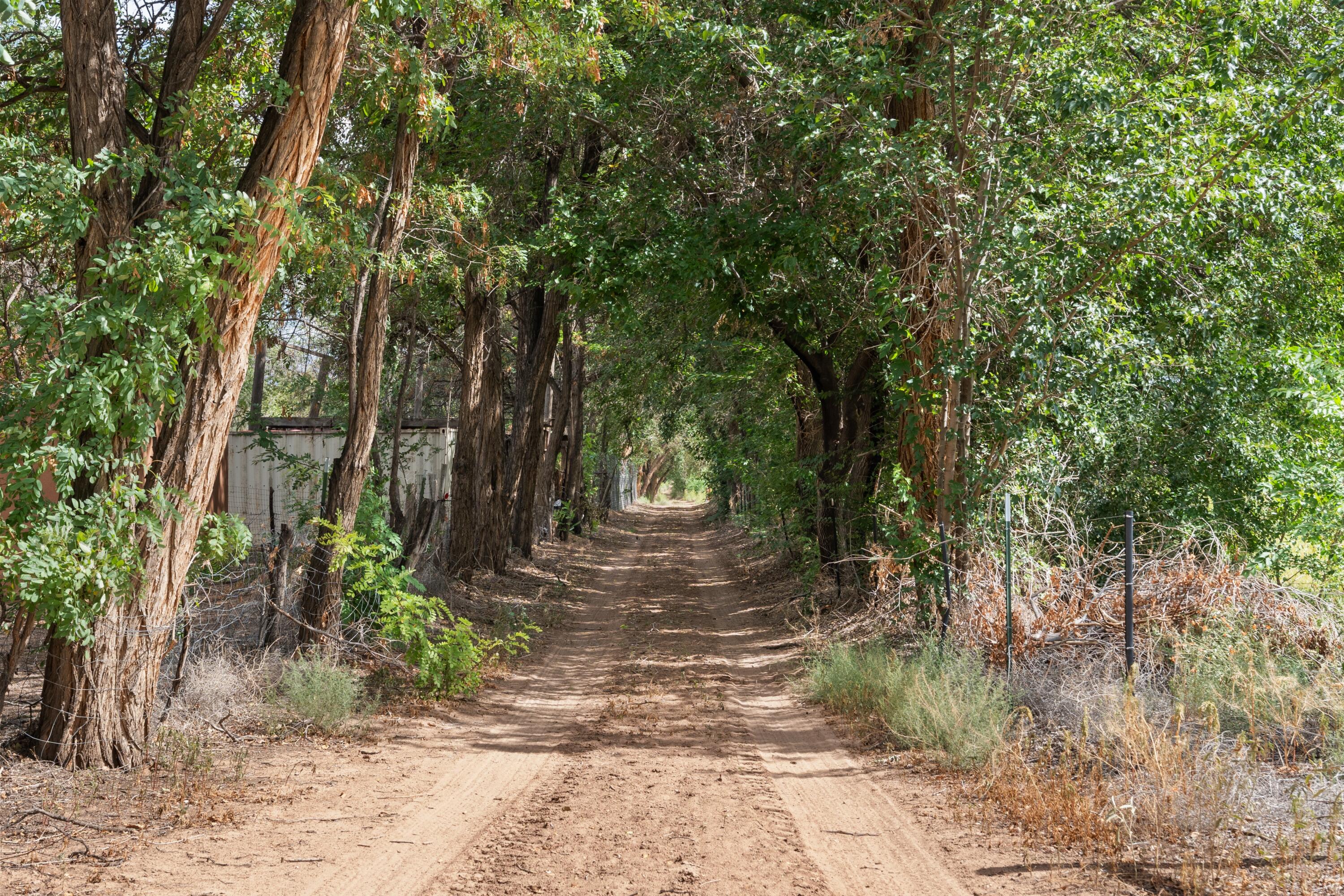 Wallace Lane, Corrales, New Mexico image 17