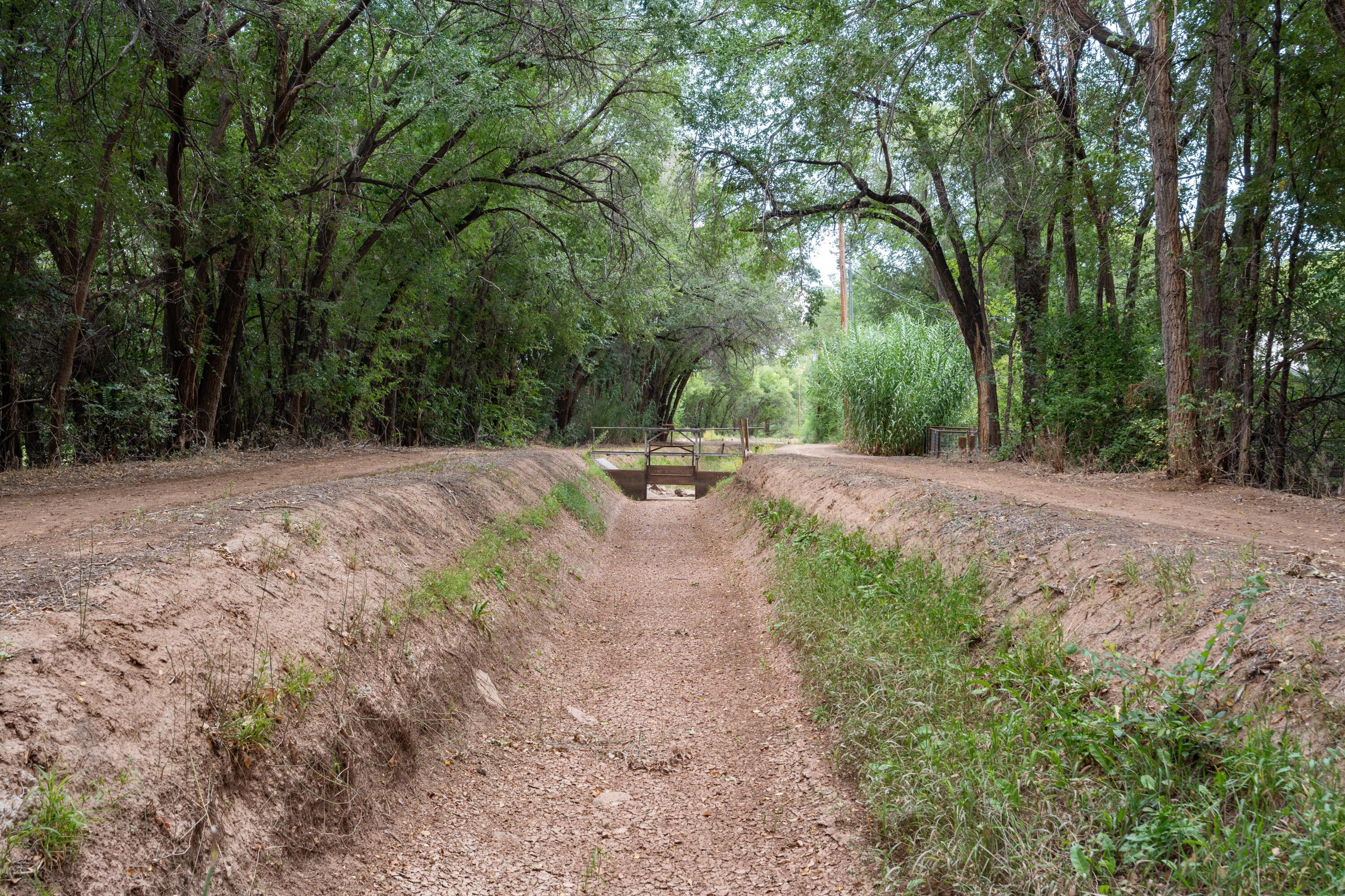 Wallace Lane, Corrales, New Mexico image 19