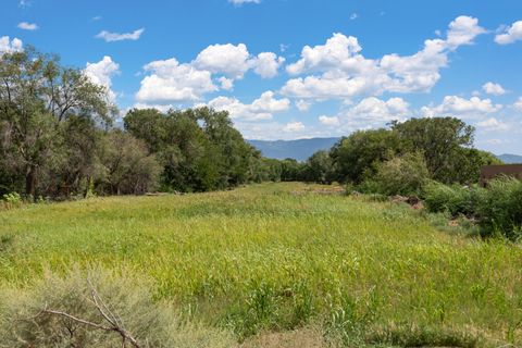 0 WALLACE Lane Corrales NM 87048