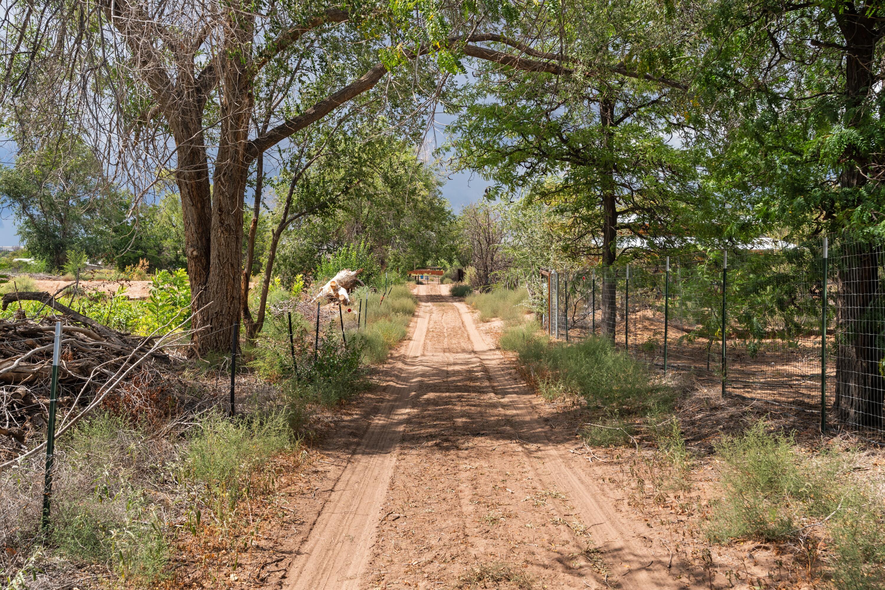 Wallace Lane, Corrales, New Mexico image 12