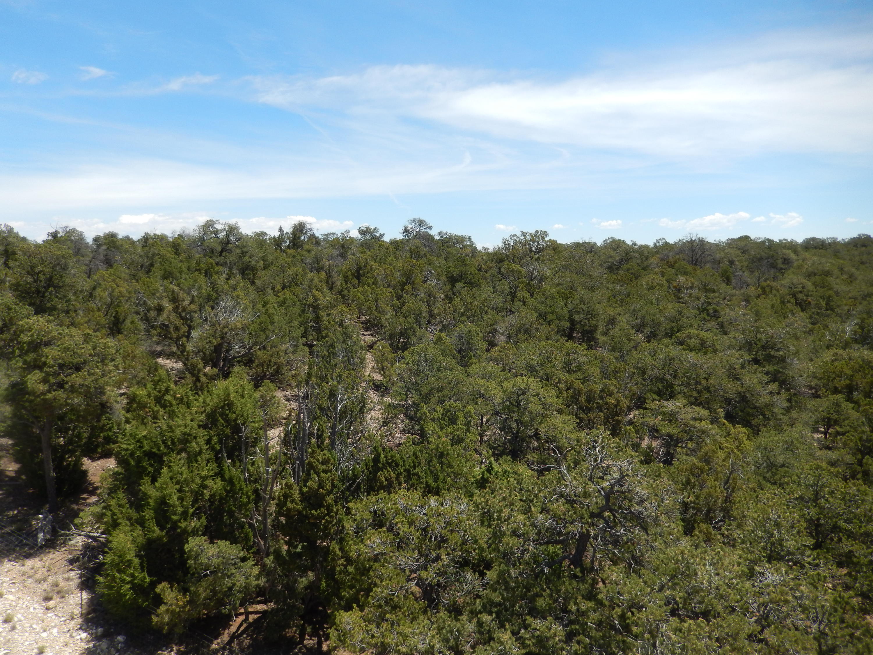 40 Alta Vista Road, Tijeras, New Mexico image 2