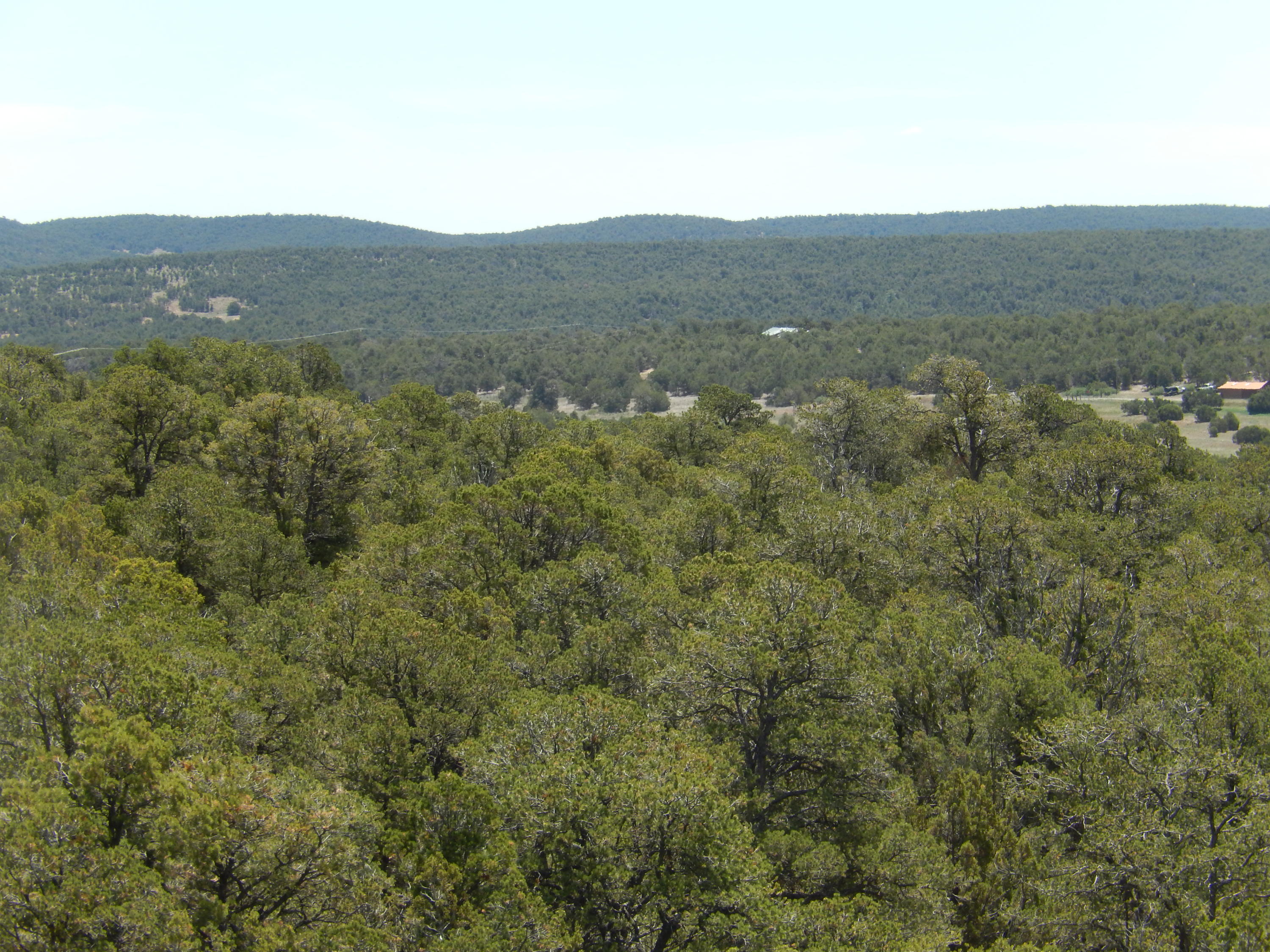 40 Alta Vista Road, Tijeras, New Mexico image 12