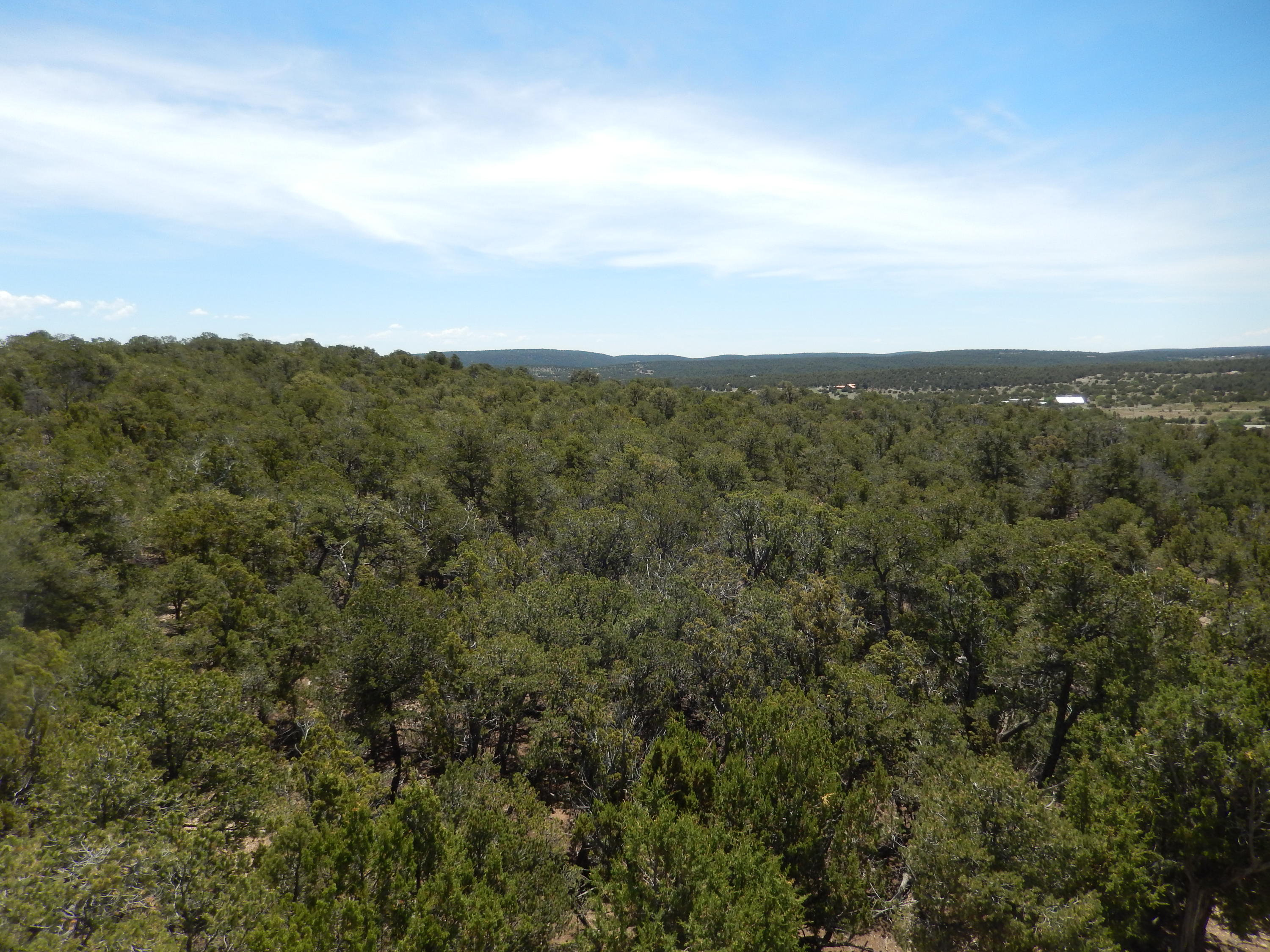 40 Alta Vista Road, Tijeras, New Mexico image 10