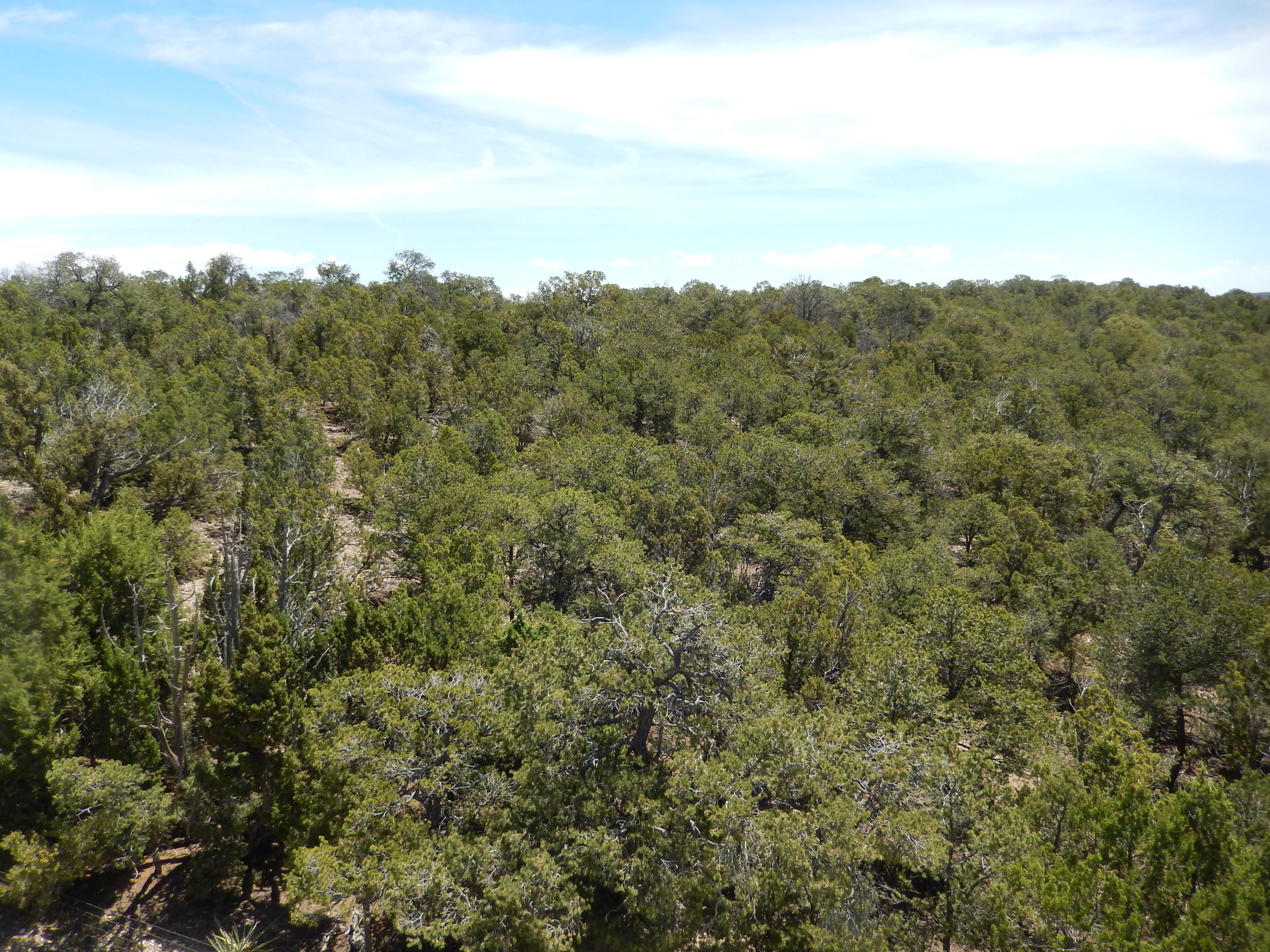 40 Alta Vista Road, Tijeras, New Mexico image 4