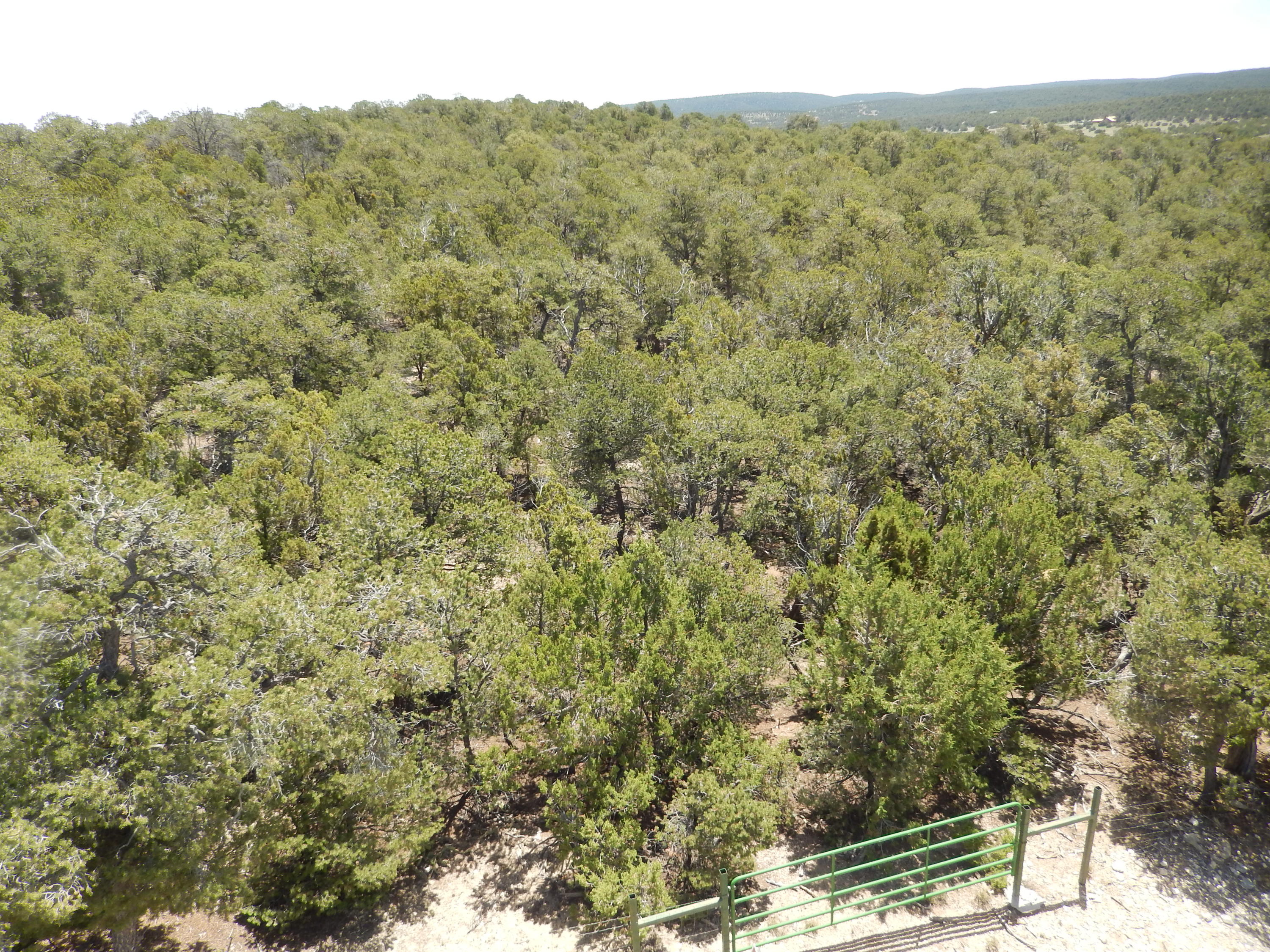 40 Alta Vista Road, Tijeras, New Mexico image 7