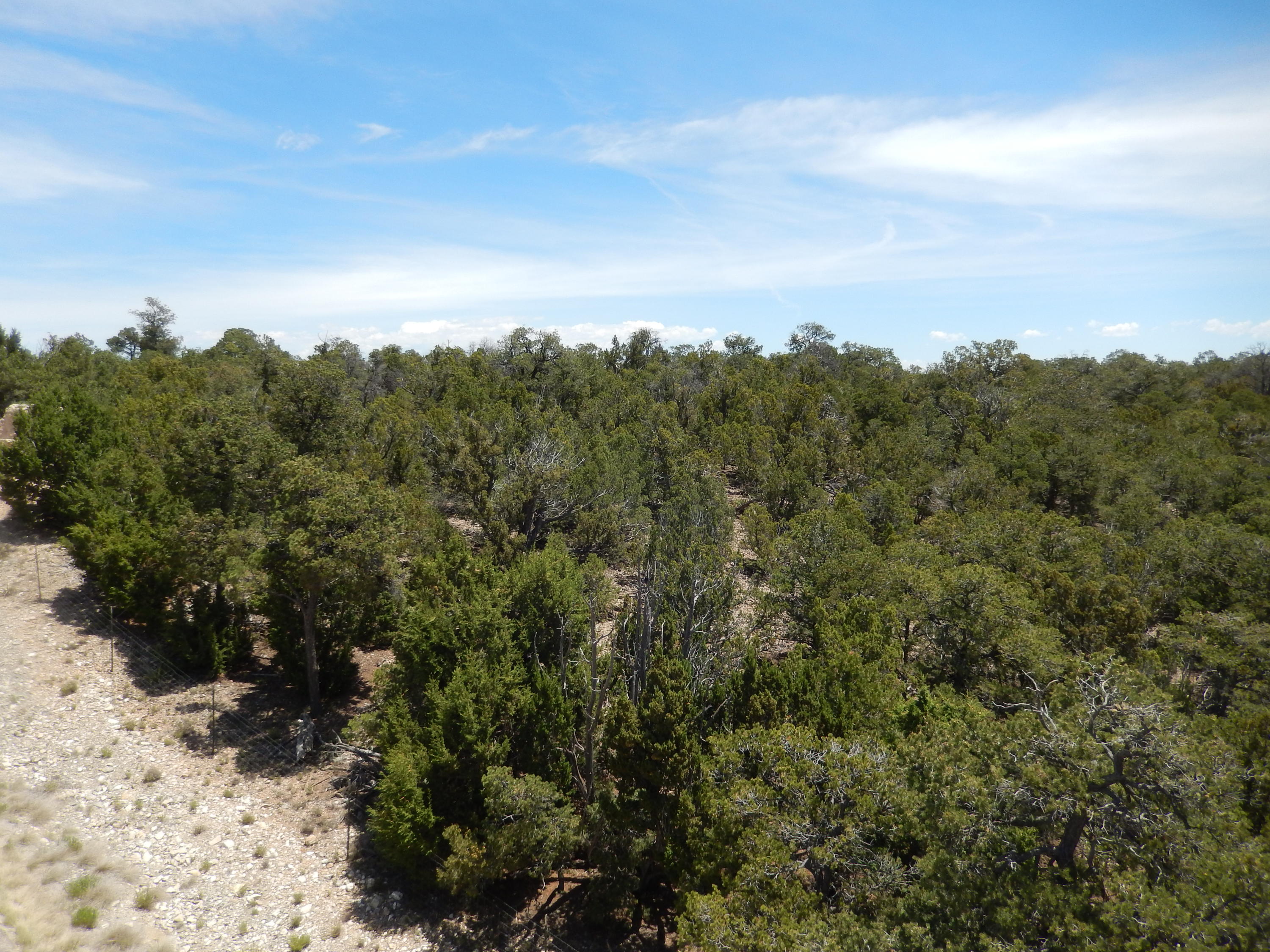 40 Alta Vista Road, Tijeras, New Mexico image 3