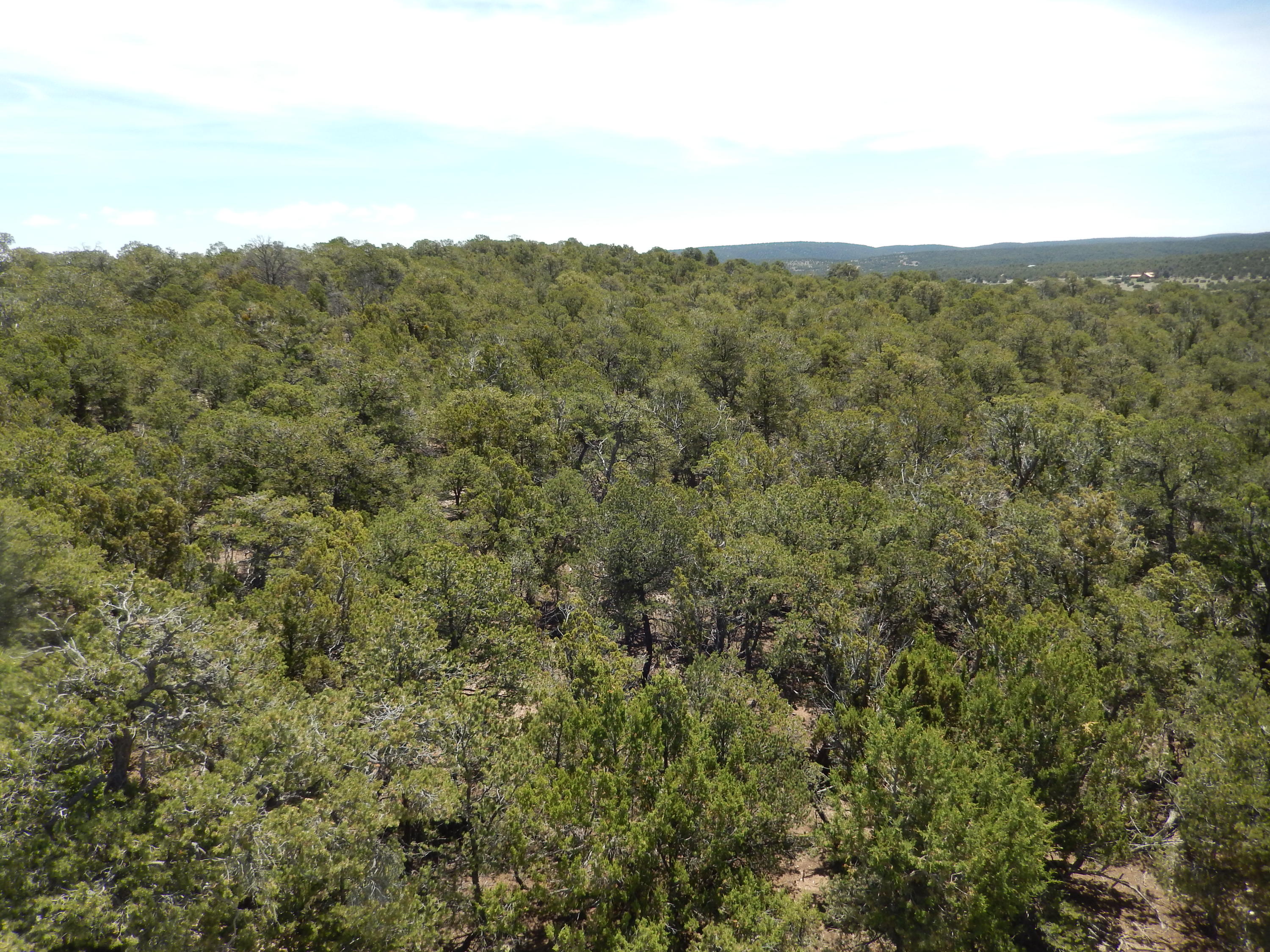 40 Alta Vista Road, Tijeras, New Mexico image 5