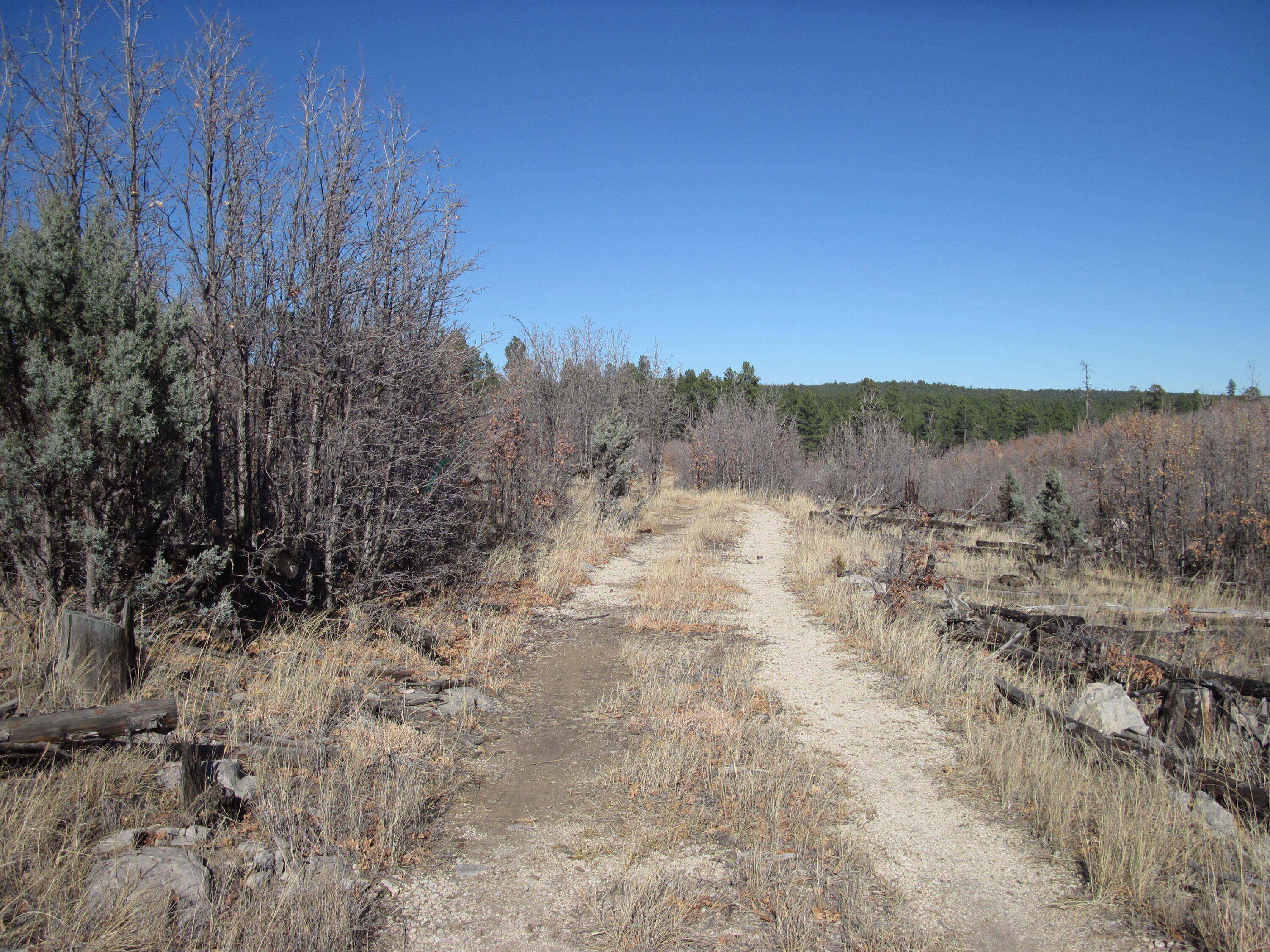 11 Lot Sherwood Forest Drive, Torreon, New Mexico image 10