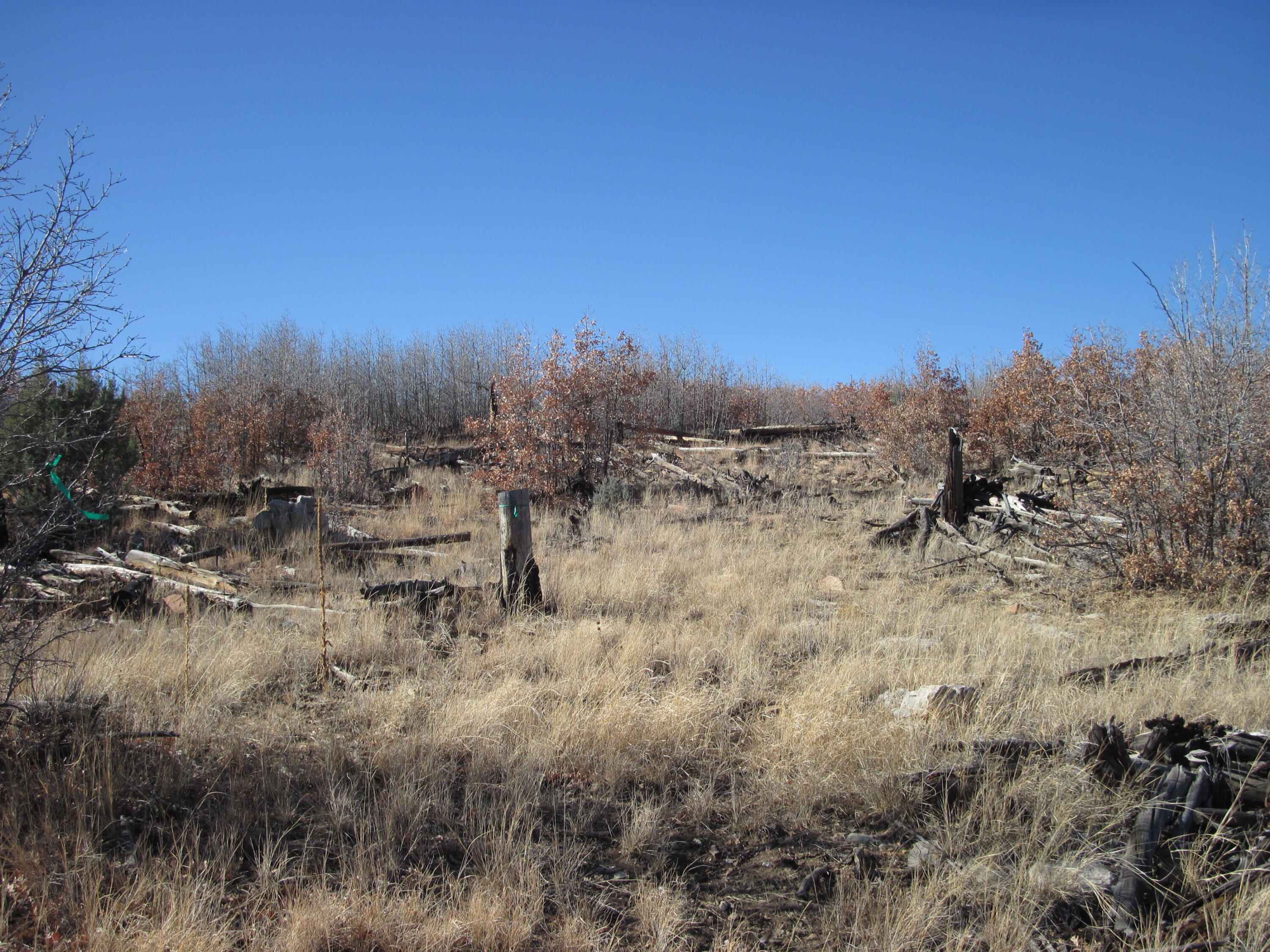 11 Lot Sherwood Forest Drive, Torreon, New Mexico image 12