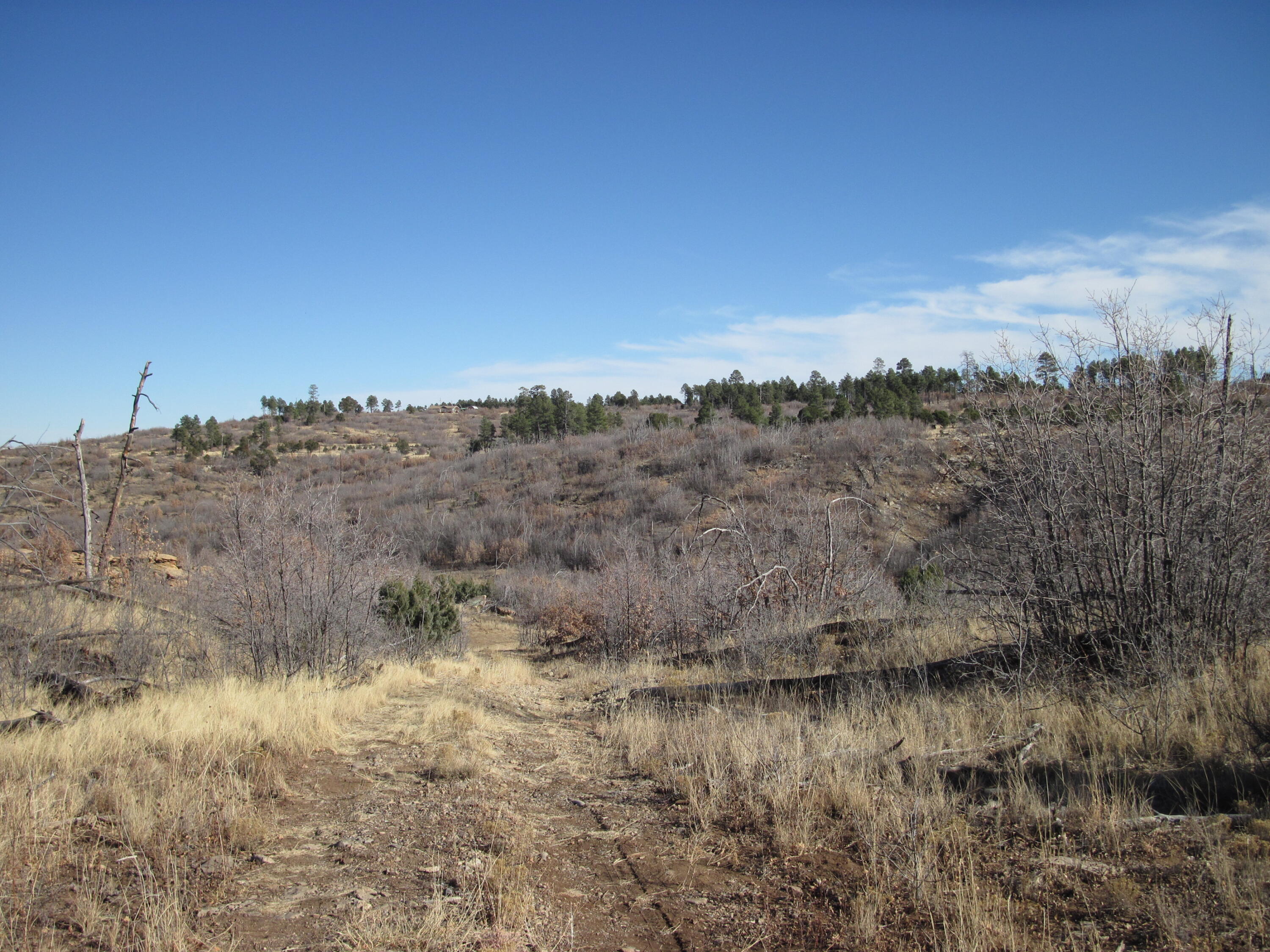 11 Lot Sherwood Forest Drive, Torreon, New Mexico image 15