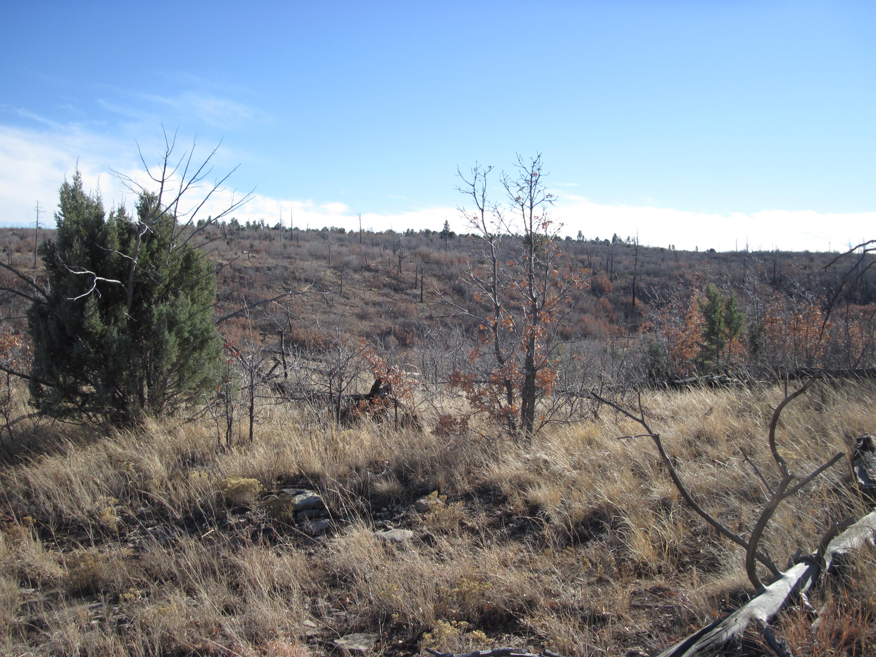 11 Lot Sherwood Forest Drive, Torreon, New Mexico image 16